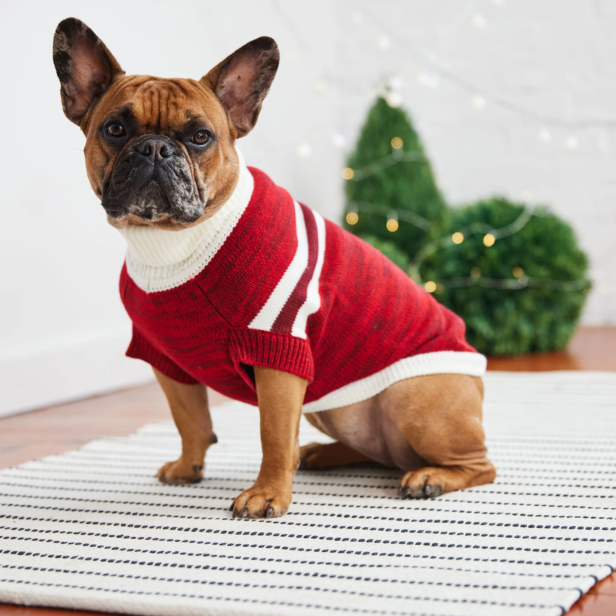 Trekking Sweater - Red - Image 4