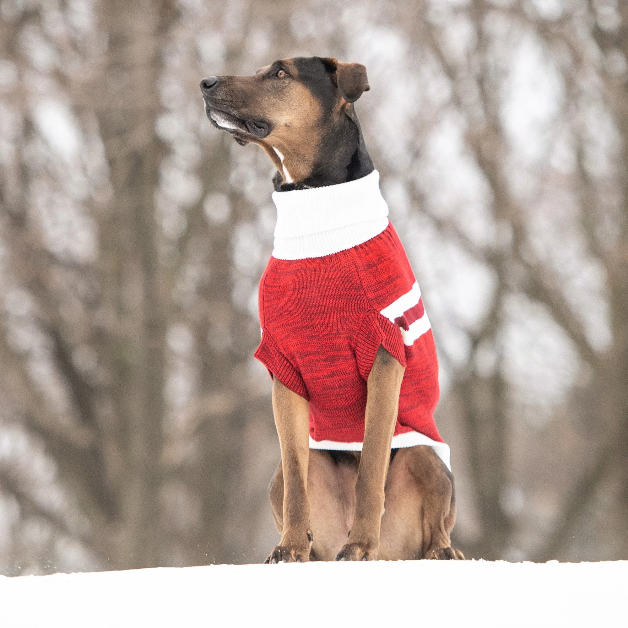 Trekking Sweater - Red - Image 5