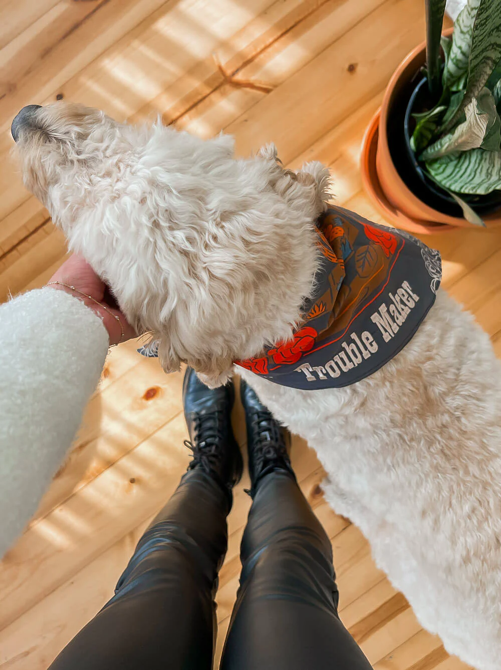 Trouble Maker Bandana - Image 2