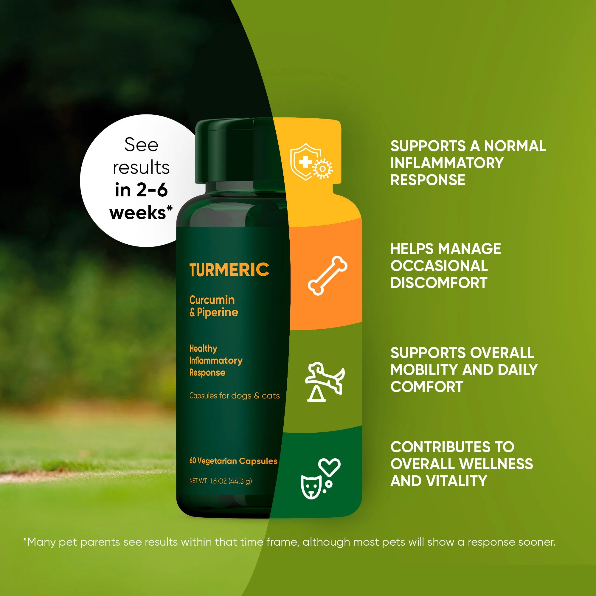 Turmeric - Image 16