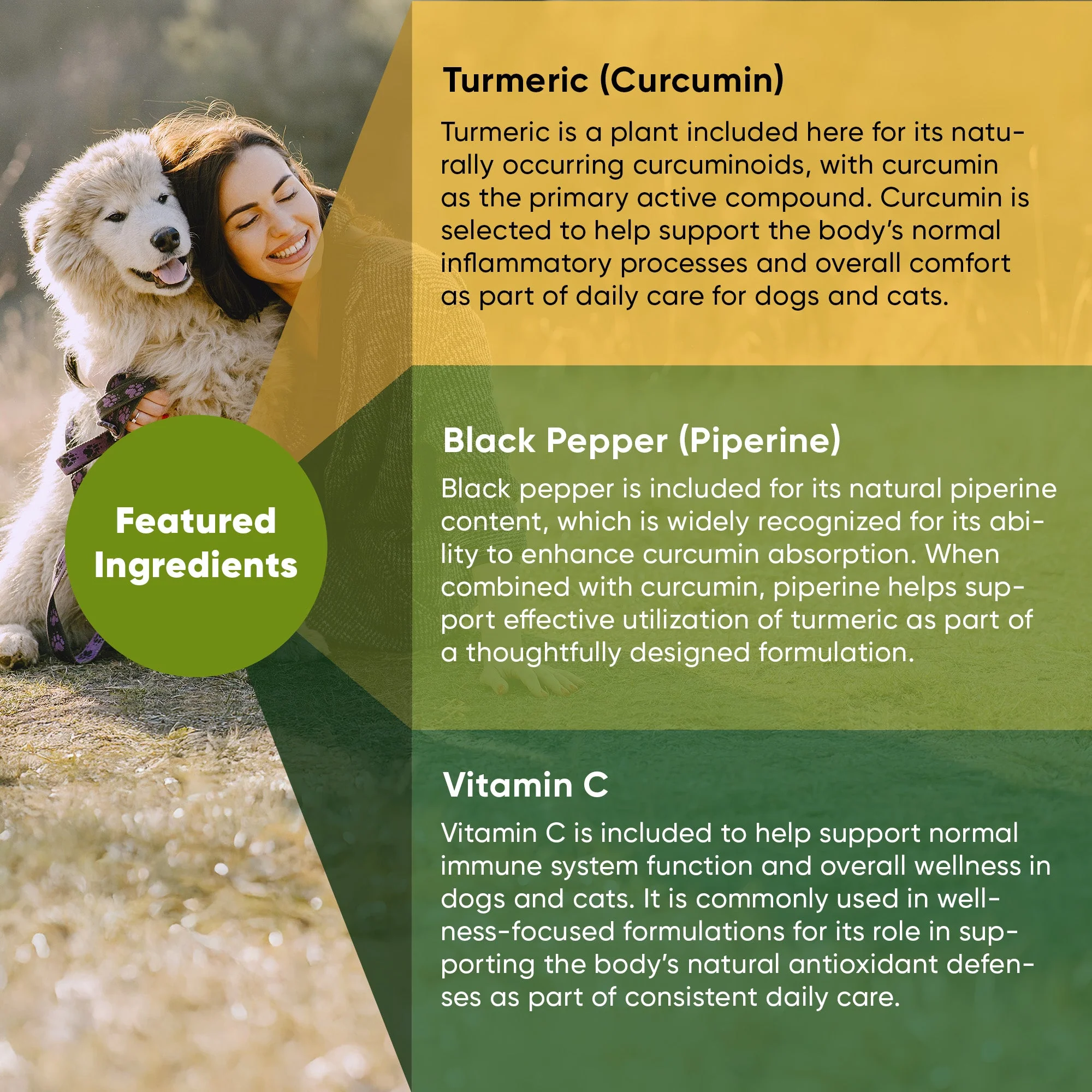 Turmeric - Image 17