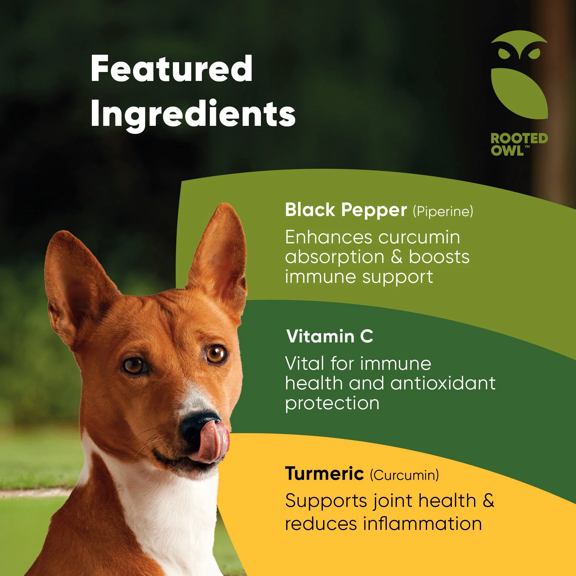 Turmeric - Image 3