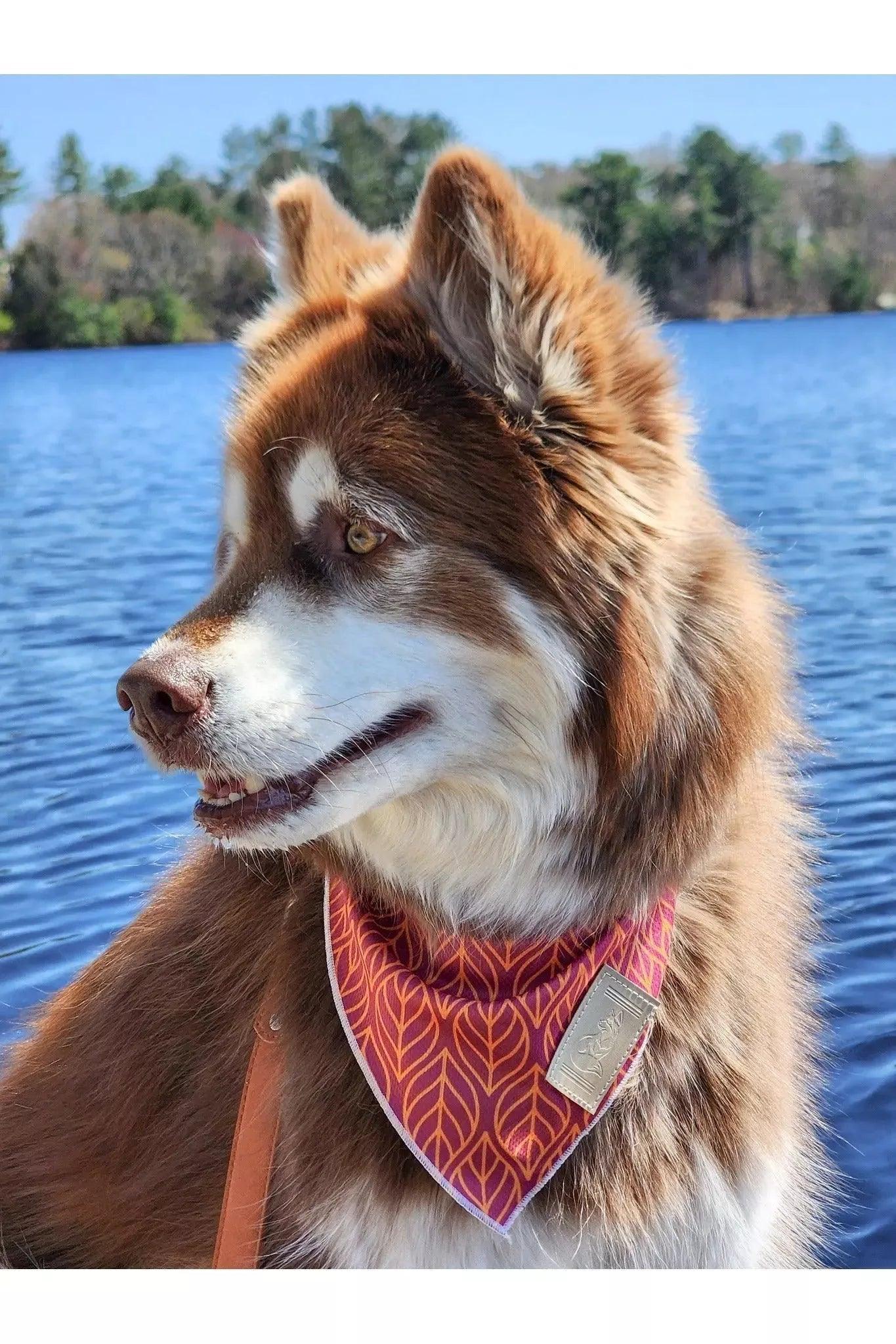 Twilight Trails Bandana - Image 2