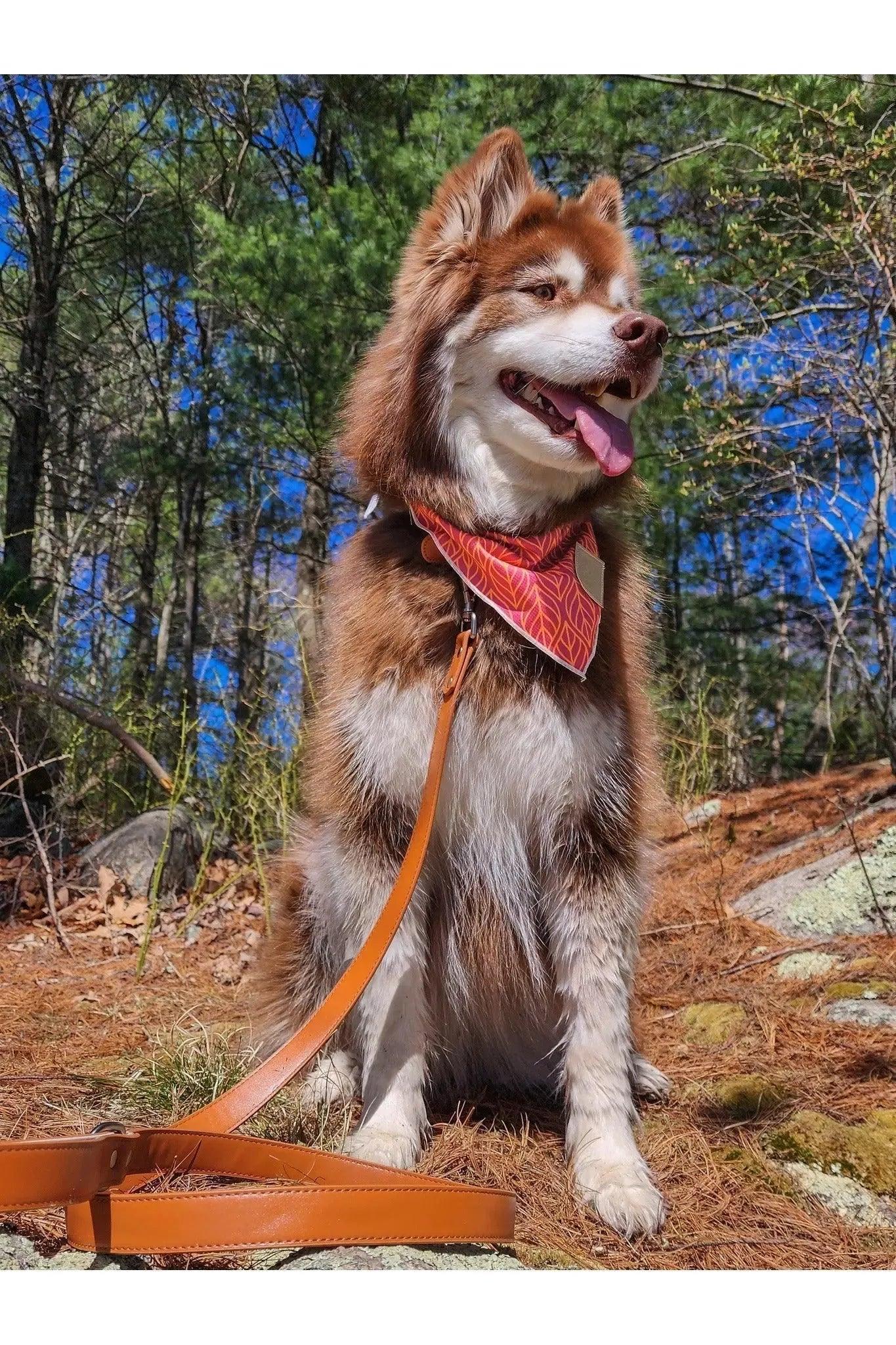 Twilight Trails Bandana - Image 3