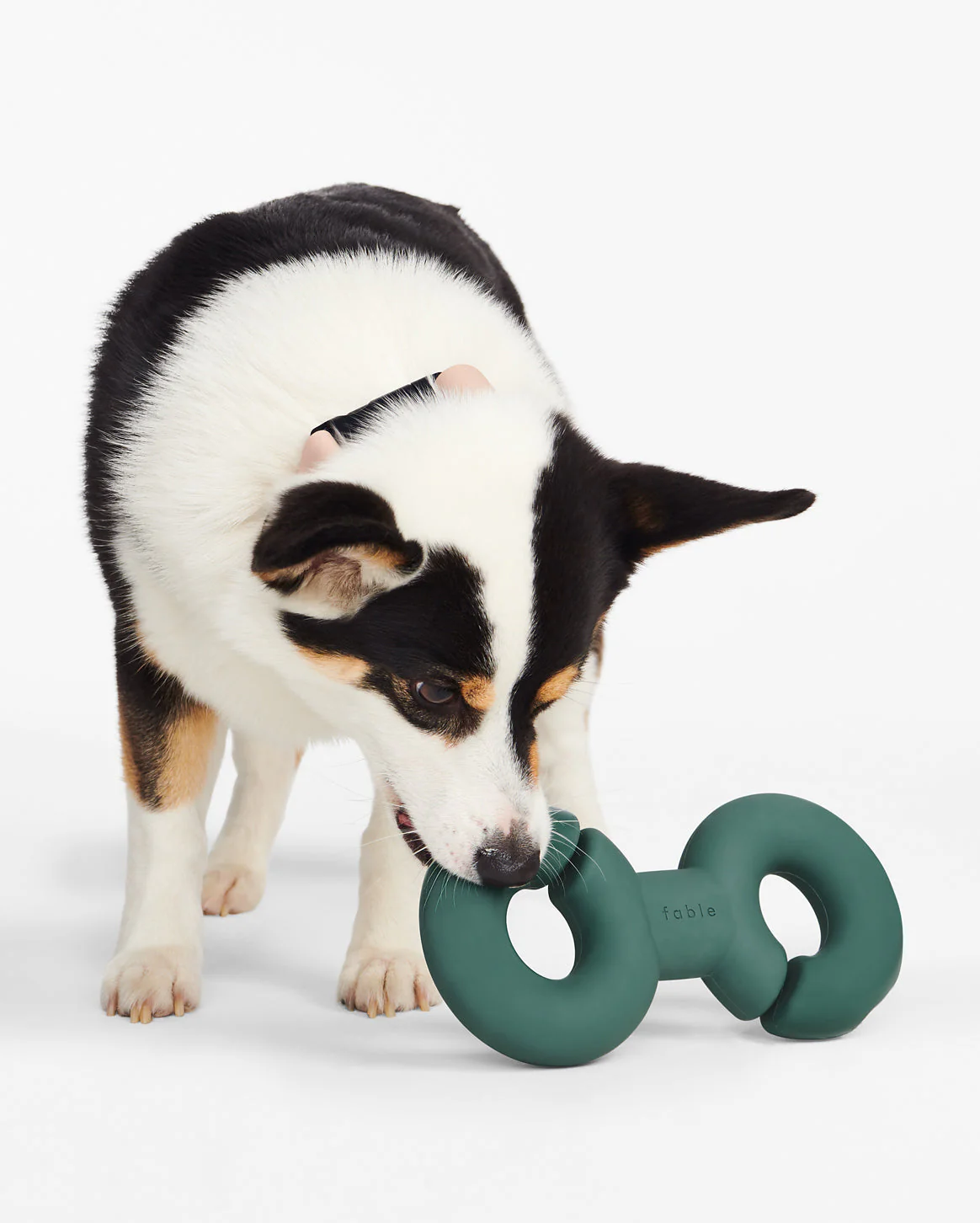 Twin Falcon Toy - Image 5