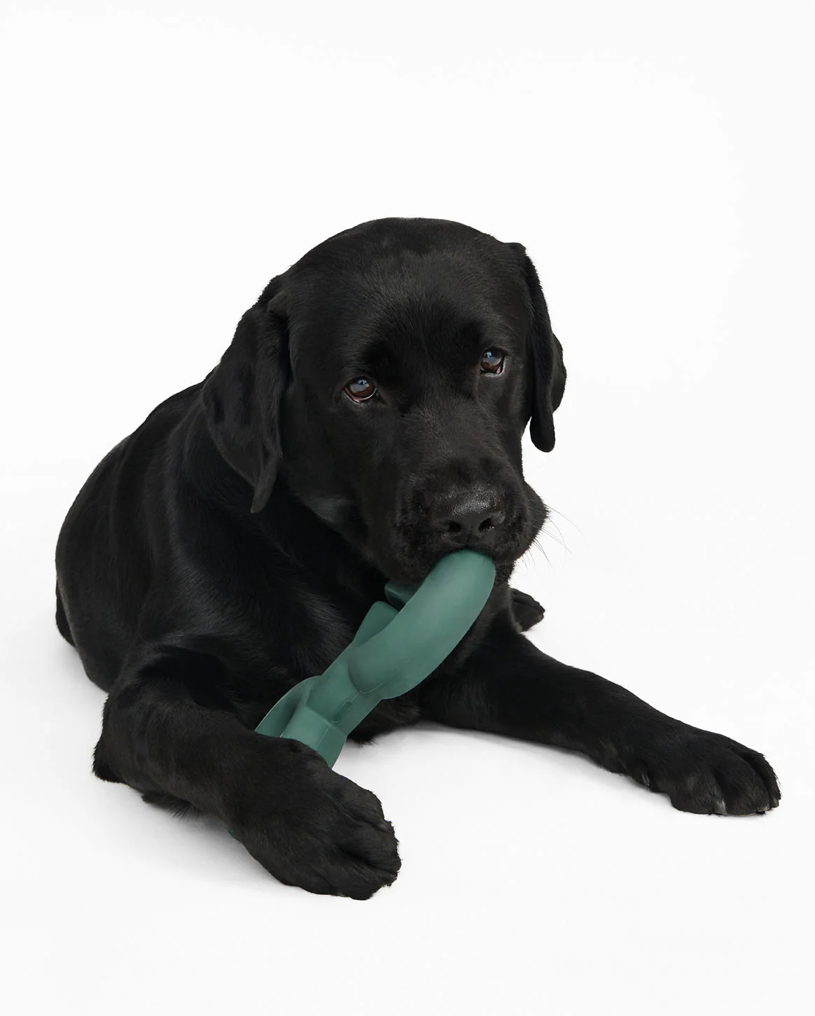 Twin Falcon Toy - Image 6