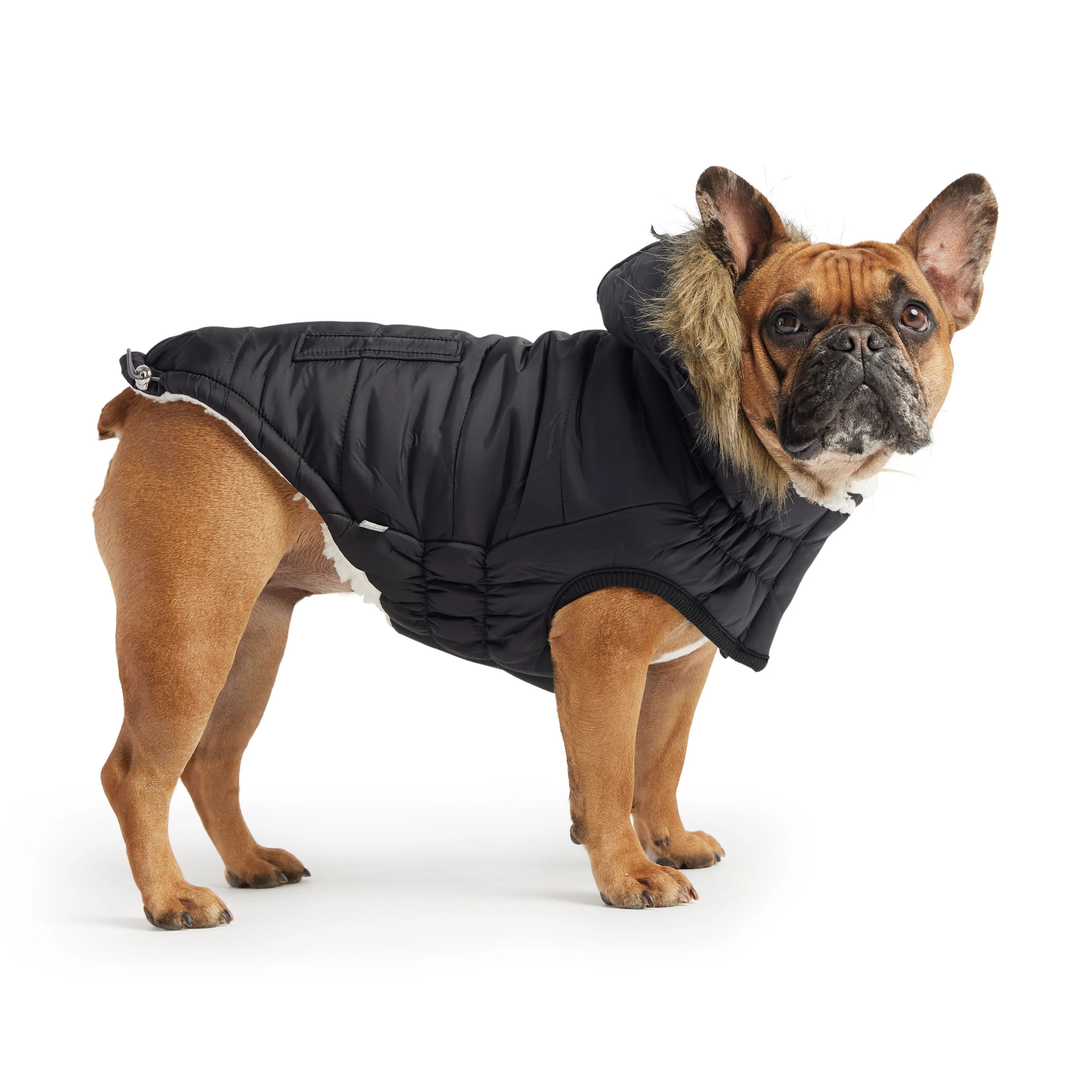 Urban Parka - Black - Image 2