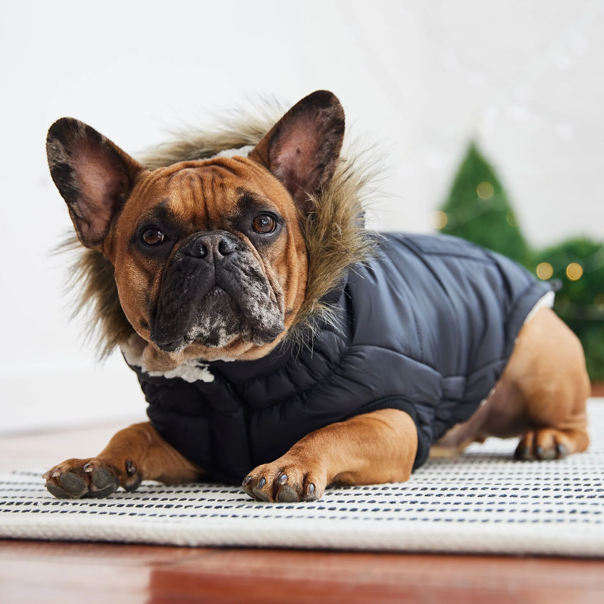 Urban Parka - Black - Image 4