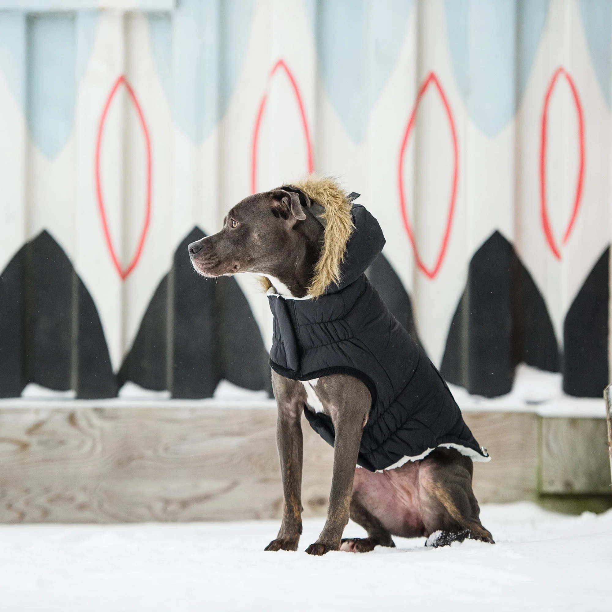 Urban Parka - Black - Image 5