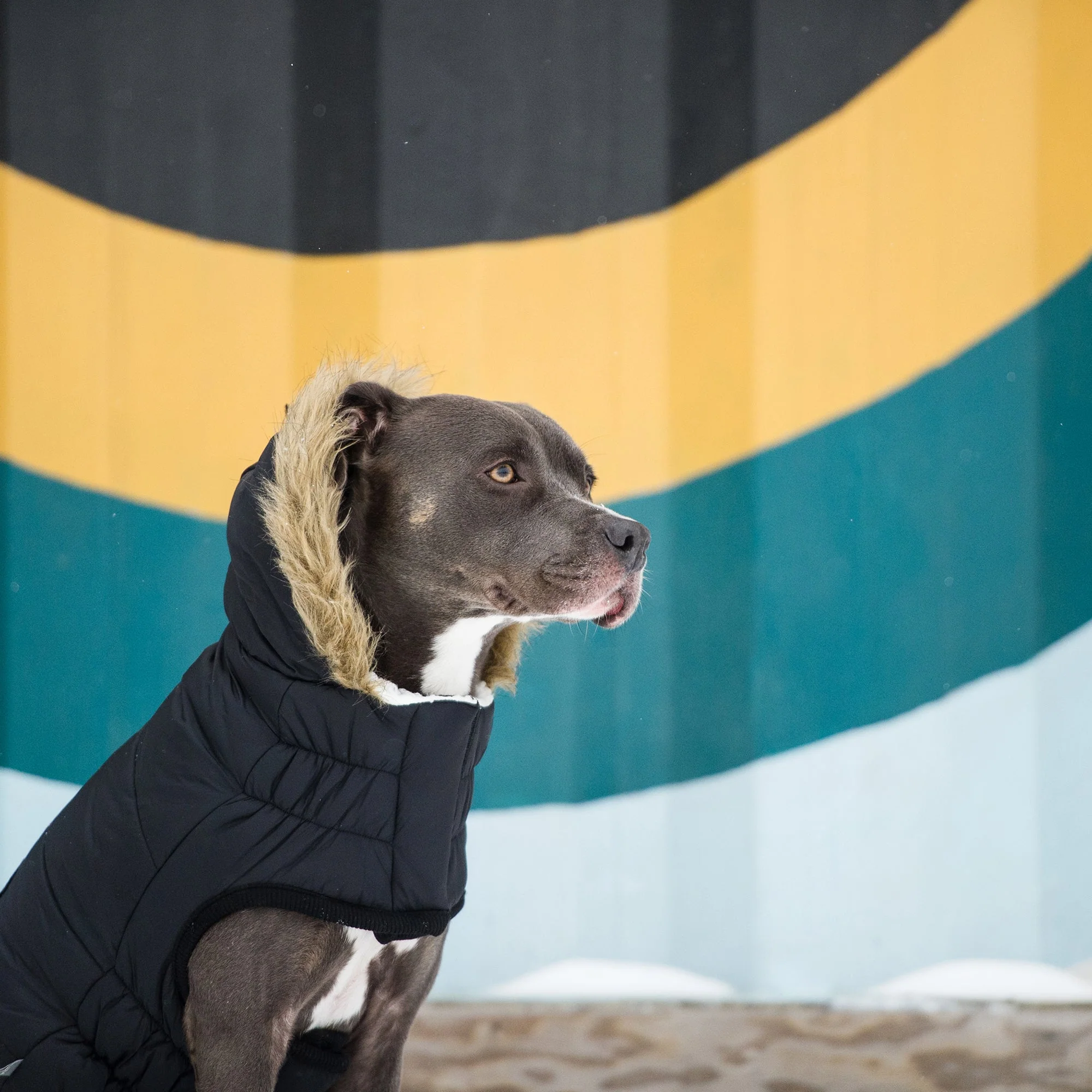 Urban Parka - Black - Image 6