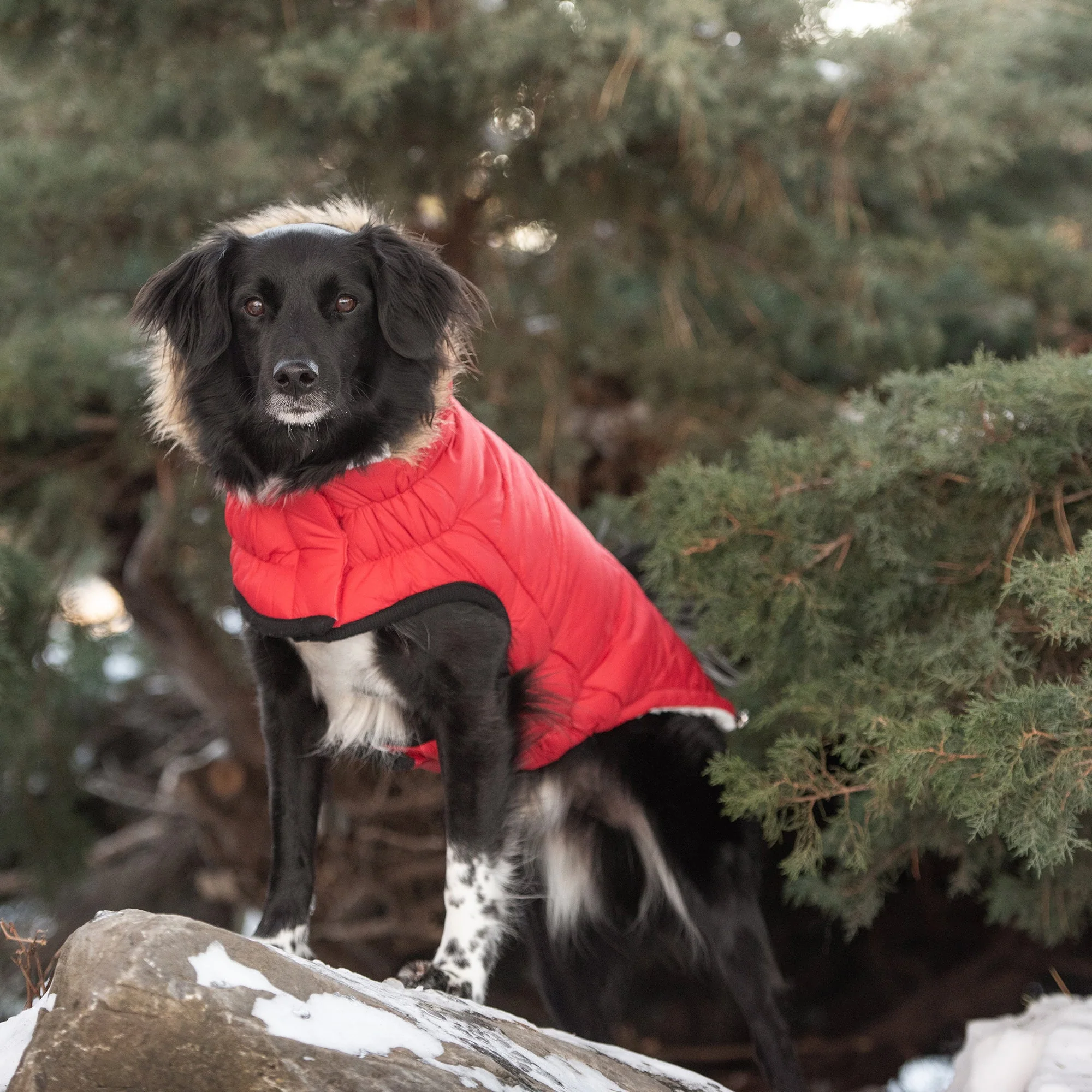 Urban Parka - Red - Image 3