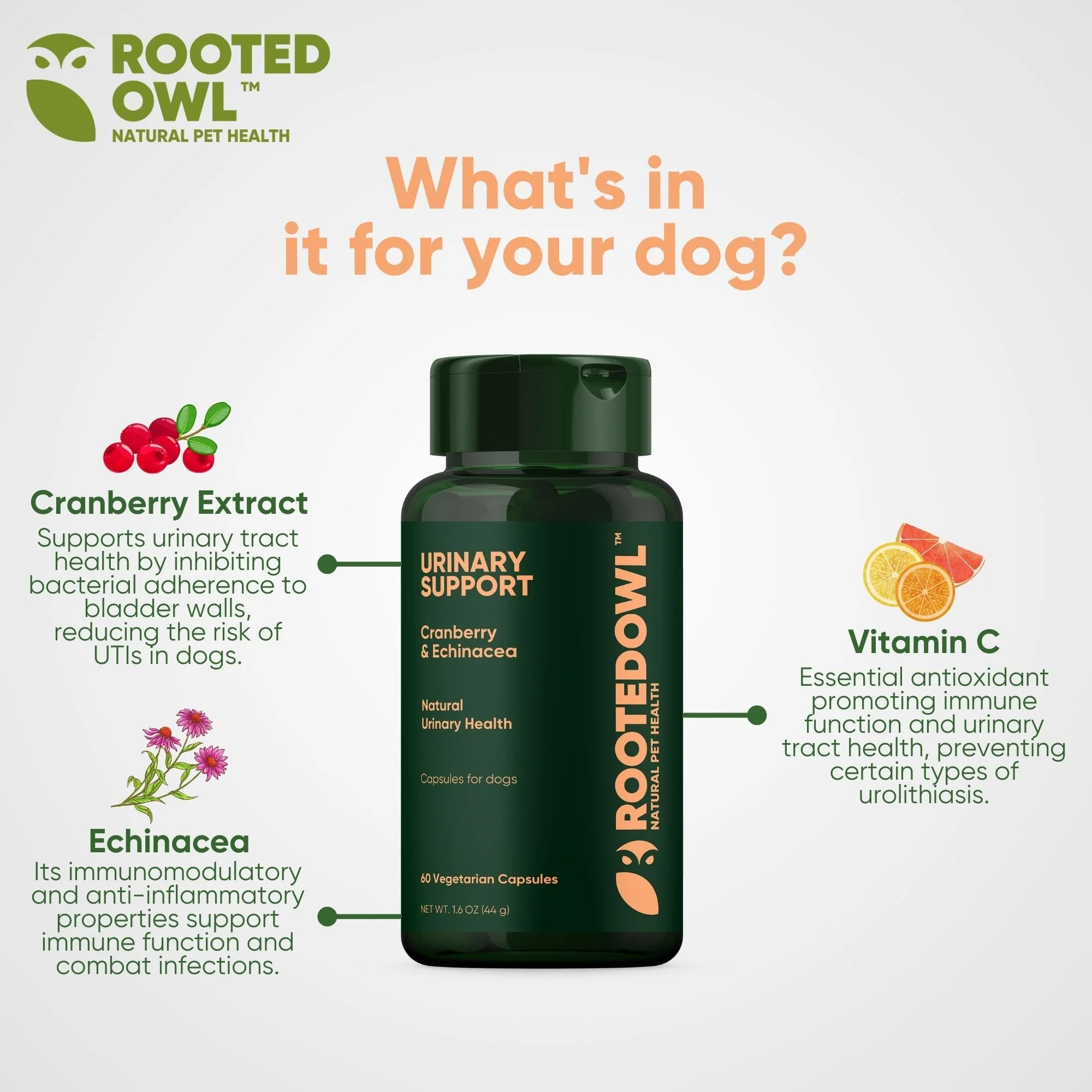 Urinary Support - Image 13