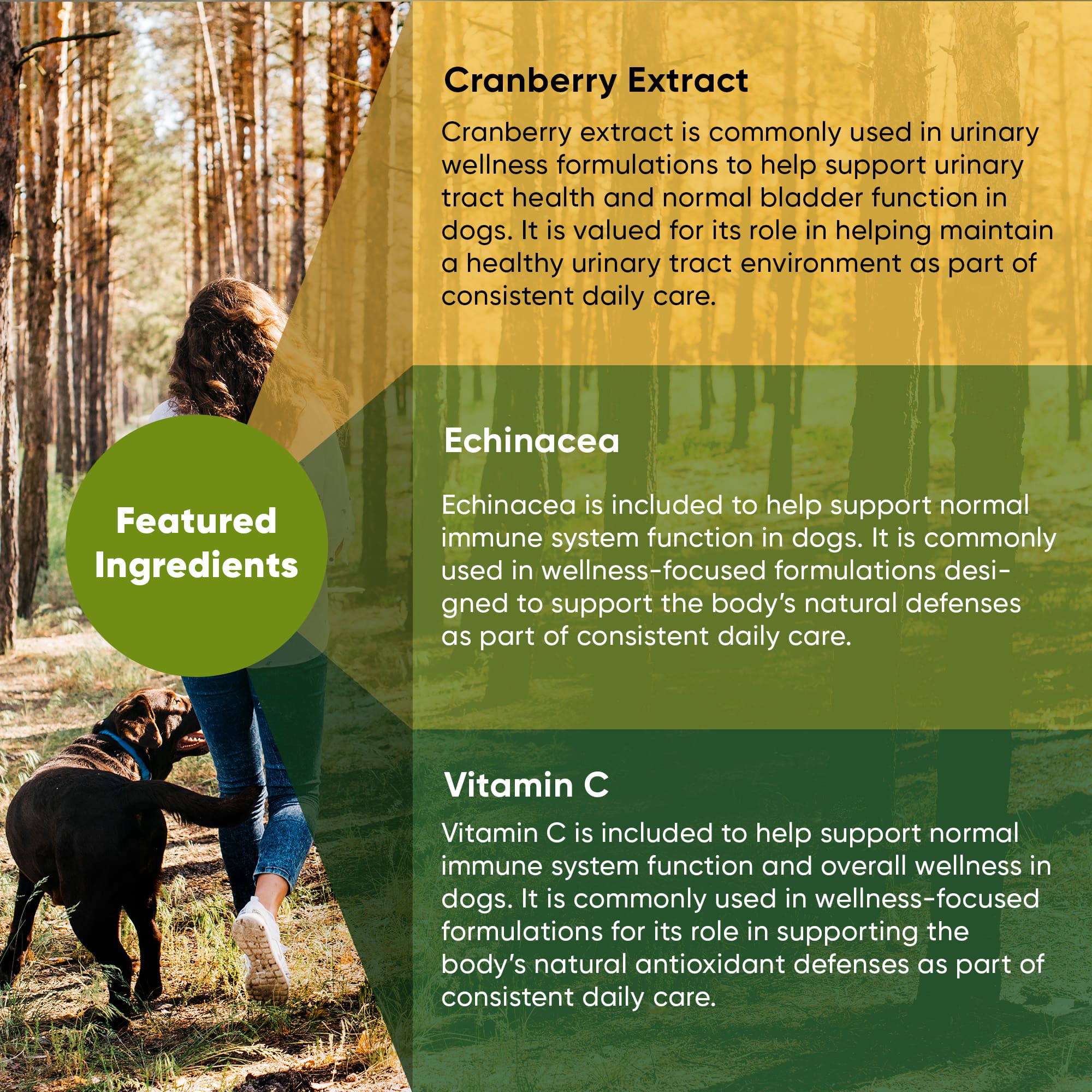 Urinary Support - Image 17