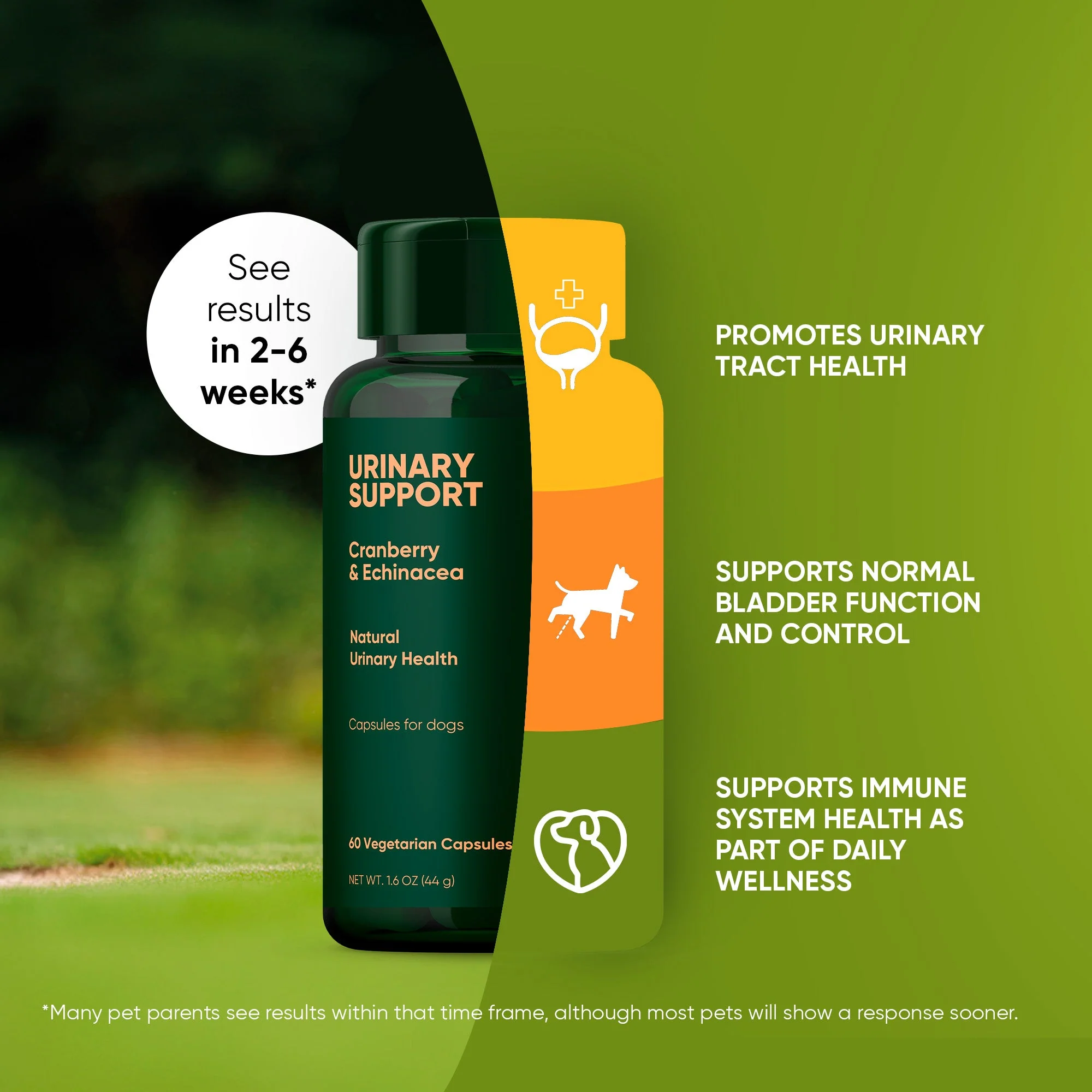 Urinary Support - Image 21