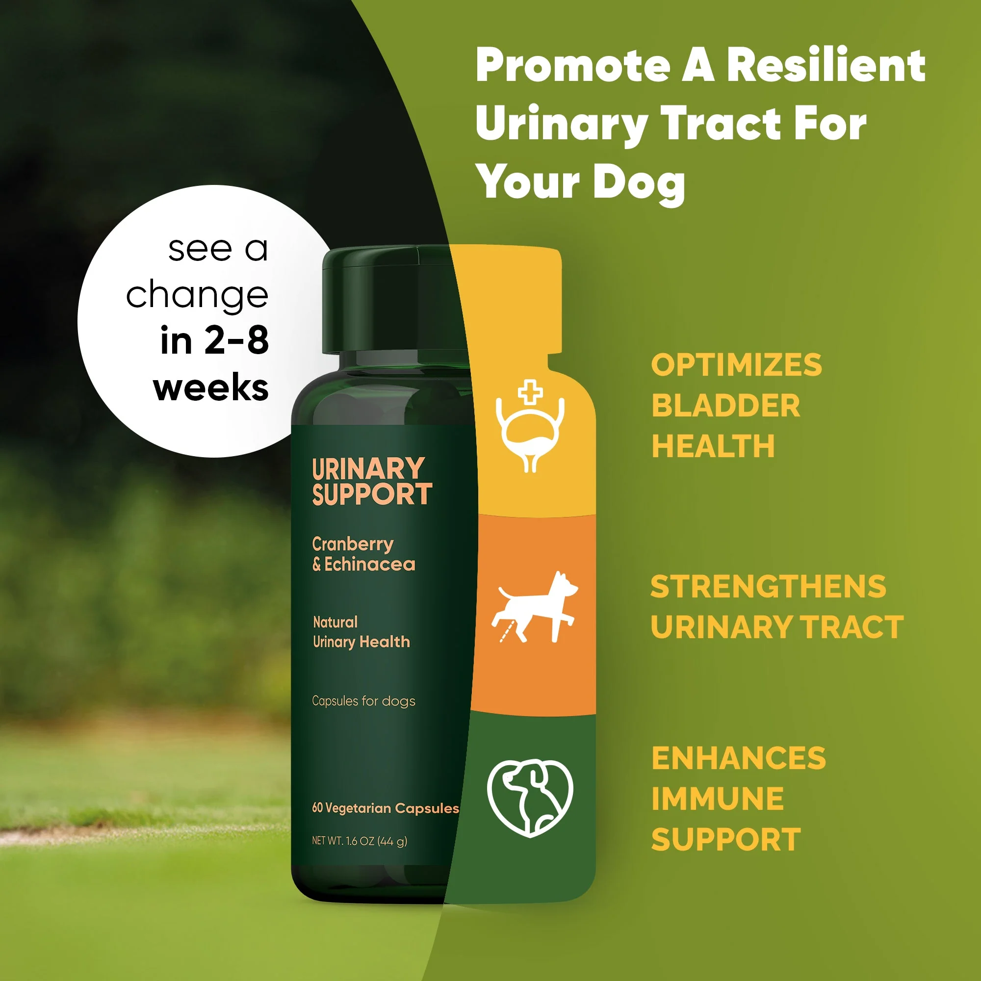 Urinary Support - Image 3
