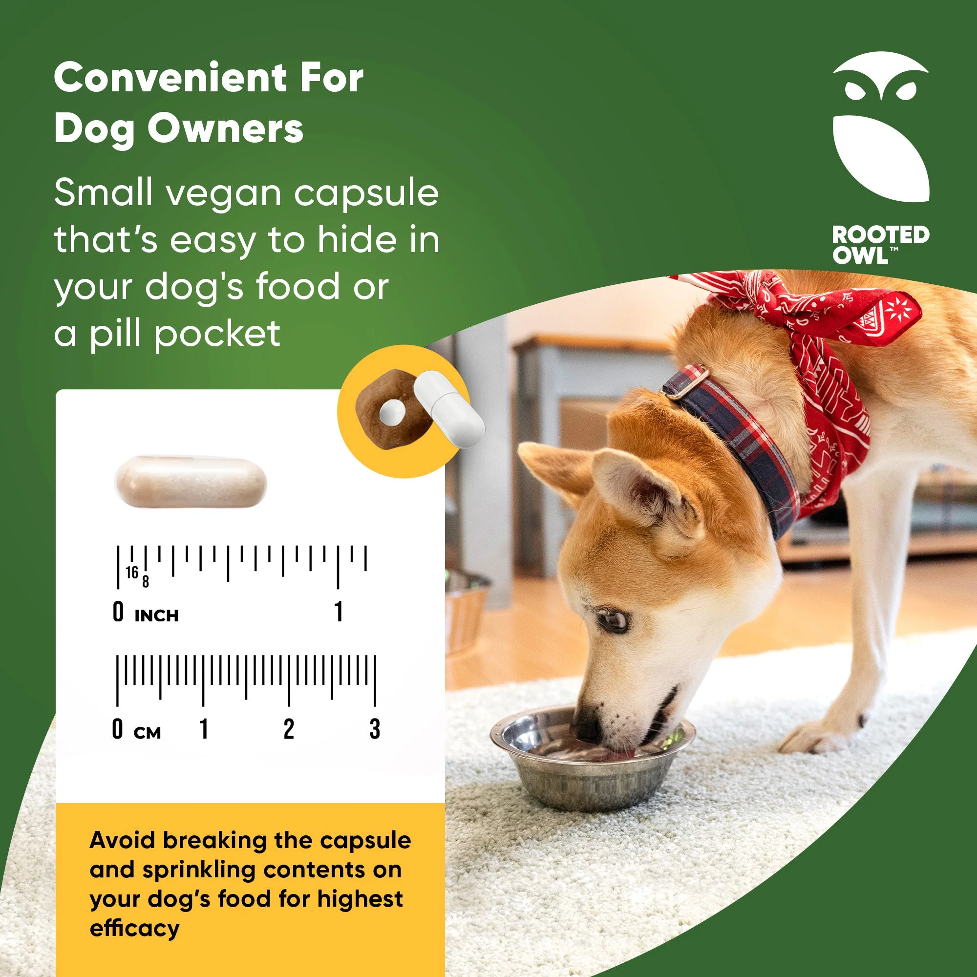 Urinary Support - Image 5