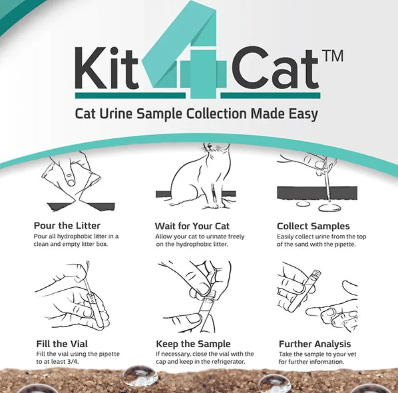 Urinary Tract Infection BioScreen & Culture for Cats: At-Home Testing - Image 10
