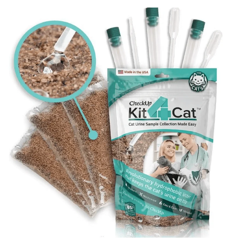 Urinary Tract Infection BioScreen & Culture for Cats: At-Home Testing - Image 9