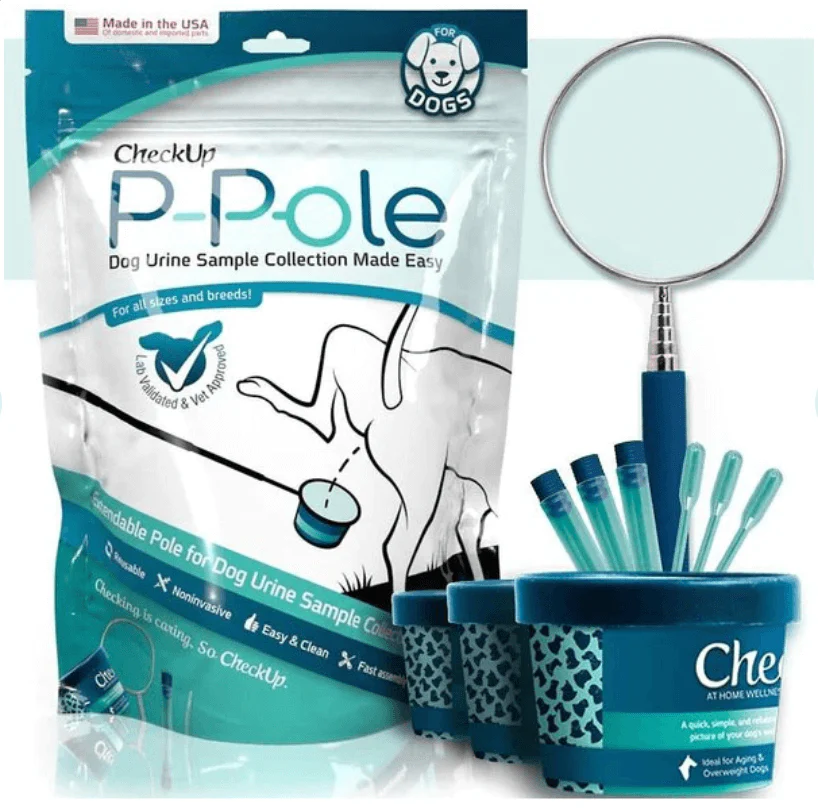 Urinary Tract Infection BioScreen & Culture for Dogs: At-Home Testing - Image 6