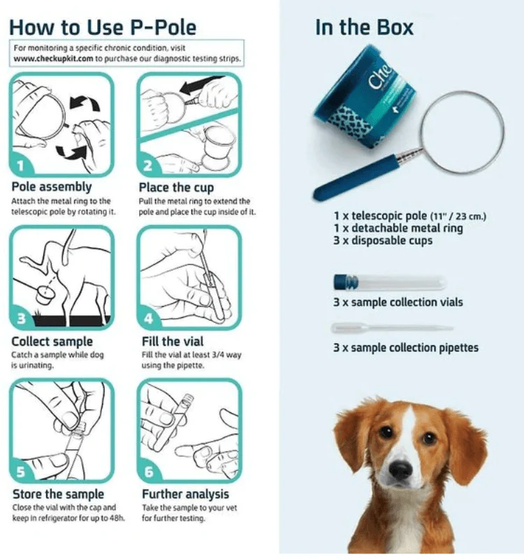 Urinary Tract Infection BioScreen & Culture for Dogs: At-Home Testing - Image 9