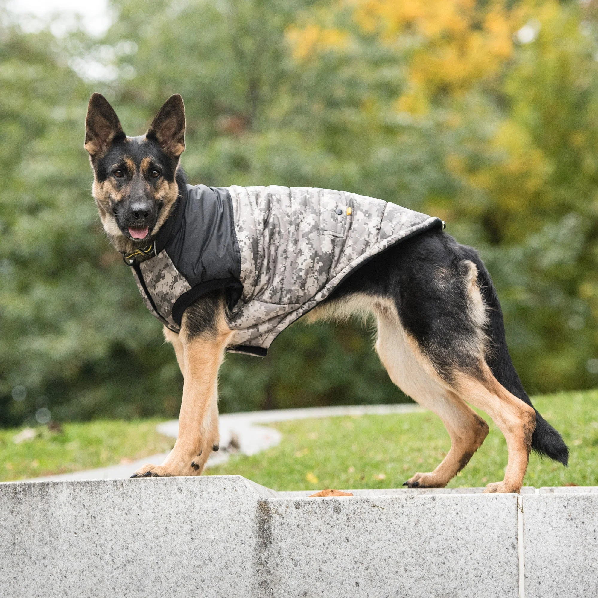 US Army Dog Jacket - Camo - Image 2