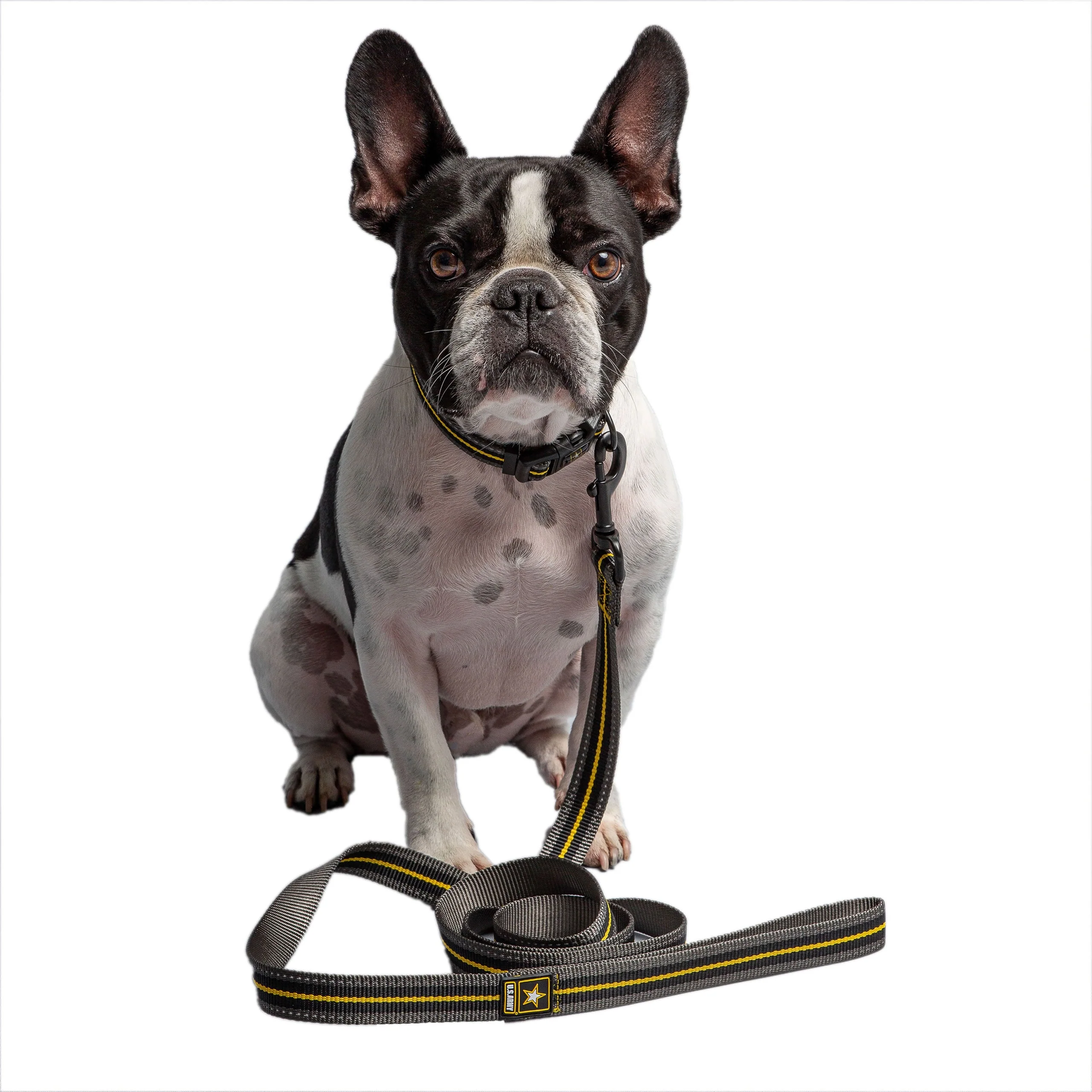 US Army Dog Leash - Dark Camo - Image 3