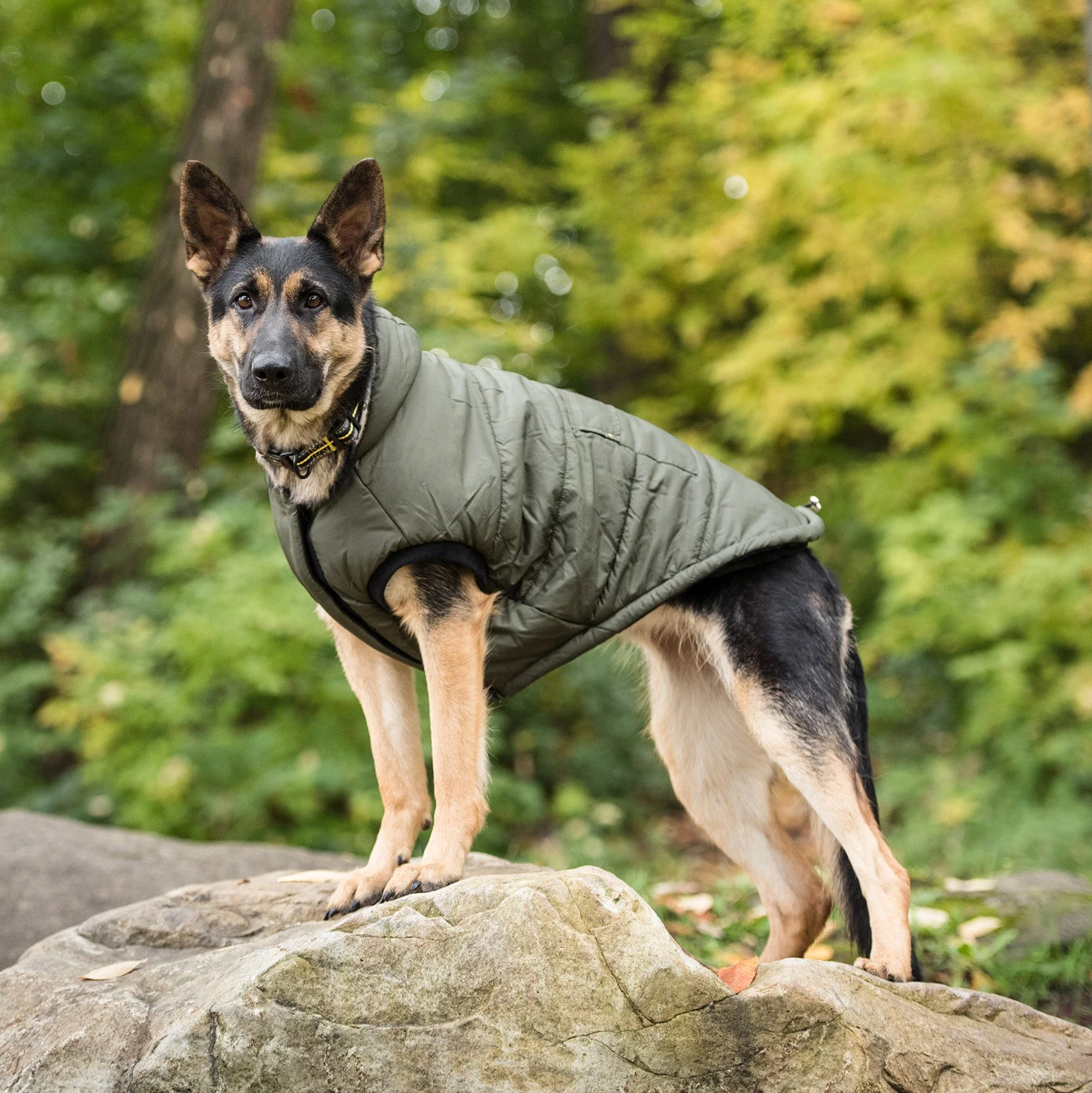 US Army Dog Parka - Dark Camo - Image 2