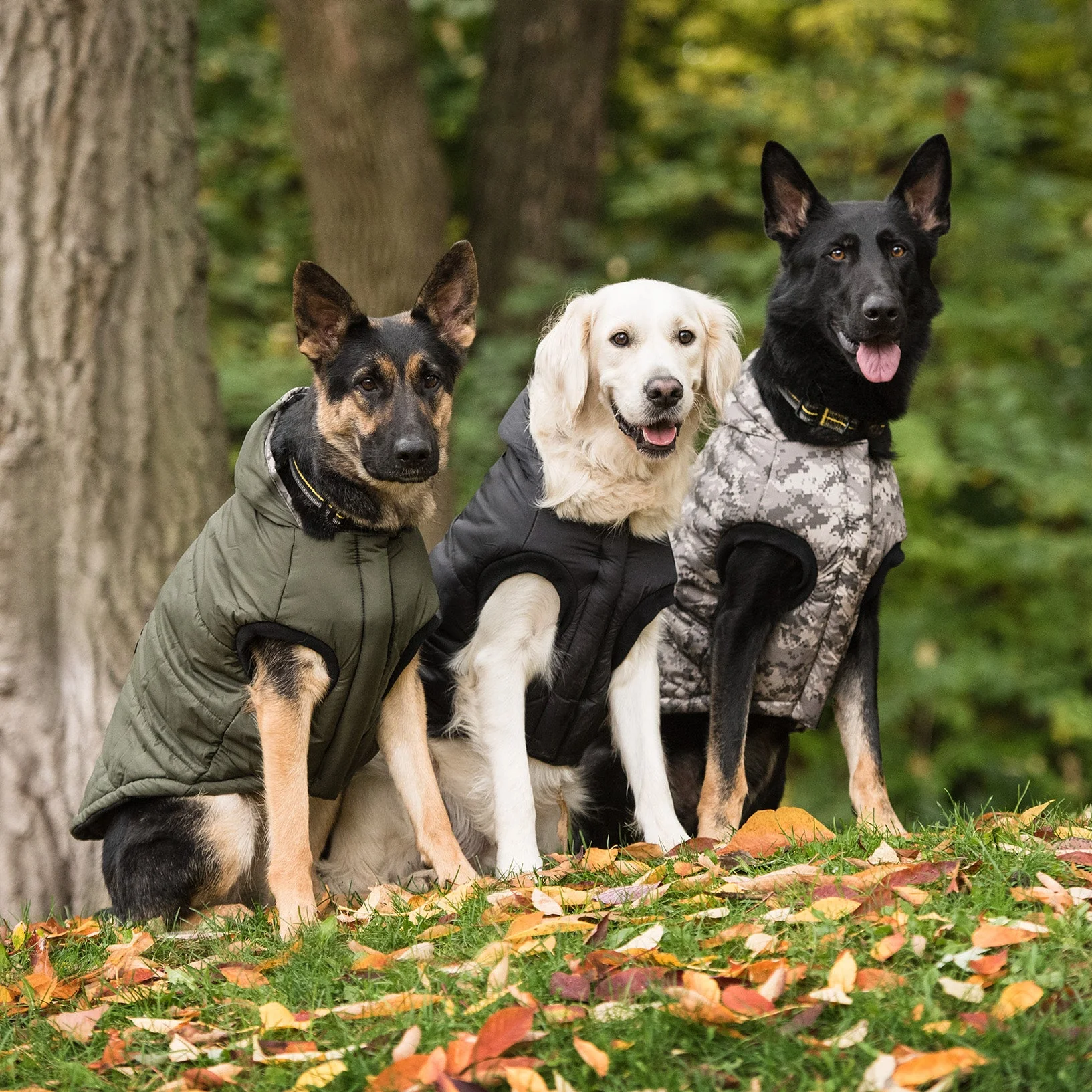 US Army Dog Parka - Dark Camo - Image 3
