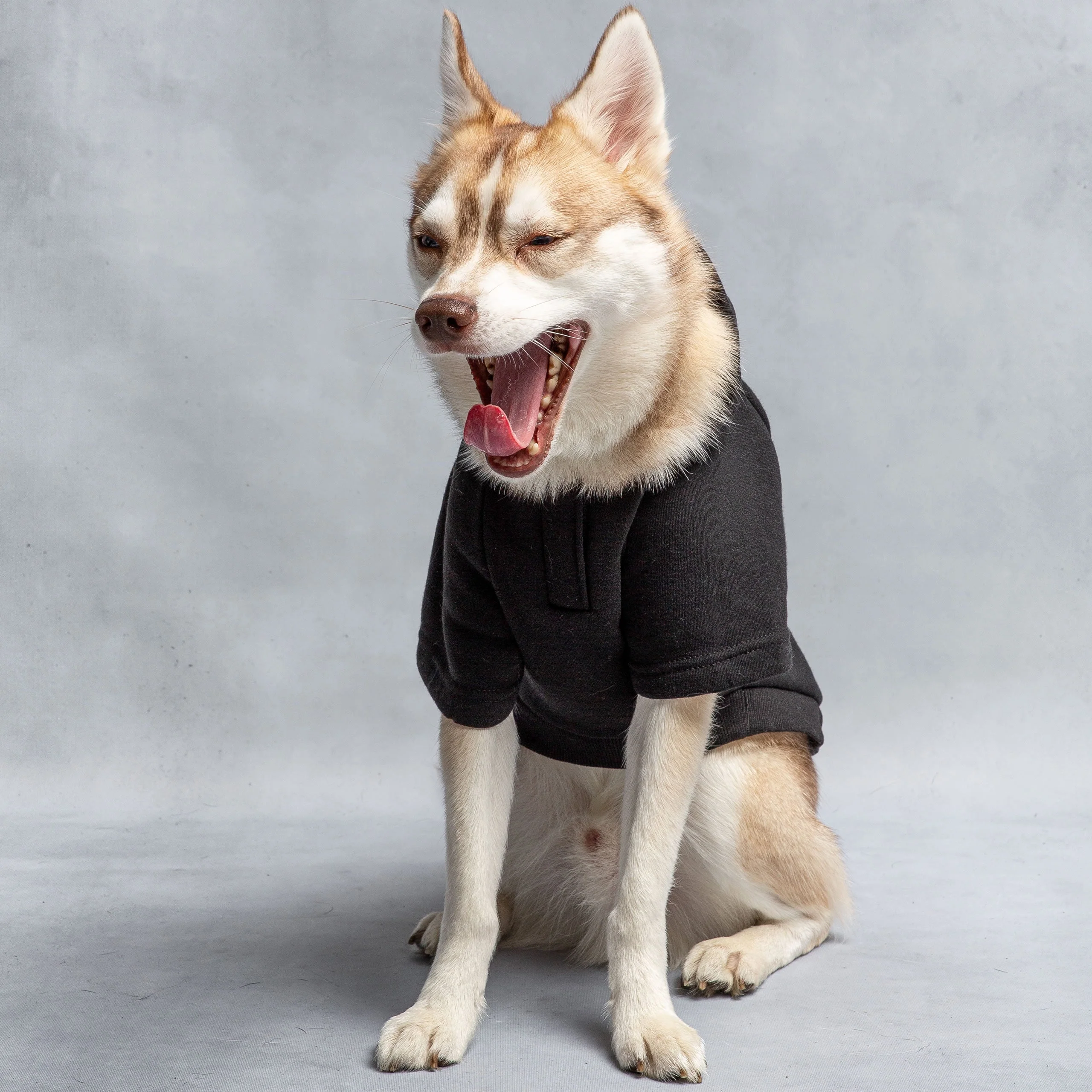 US Army Hooded Dog Fleece - Black - Image 3