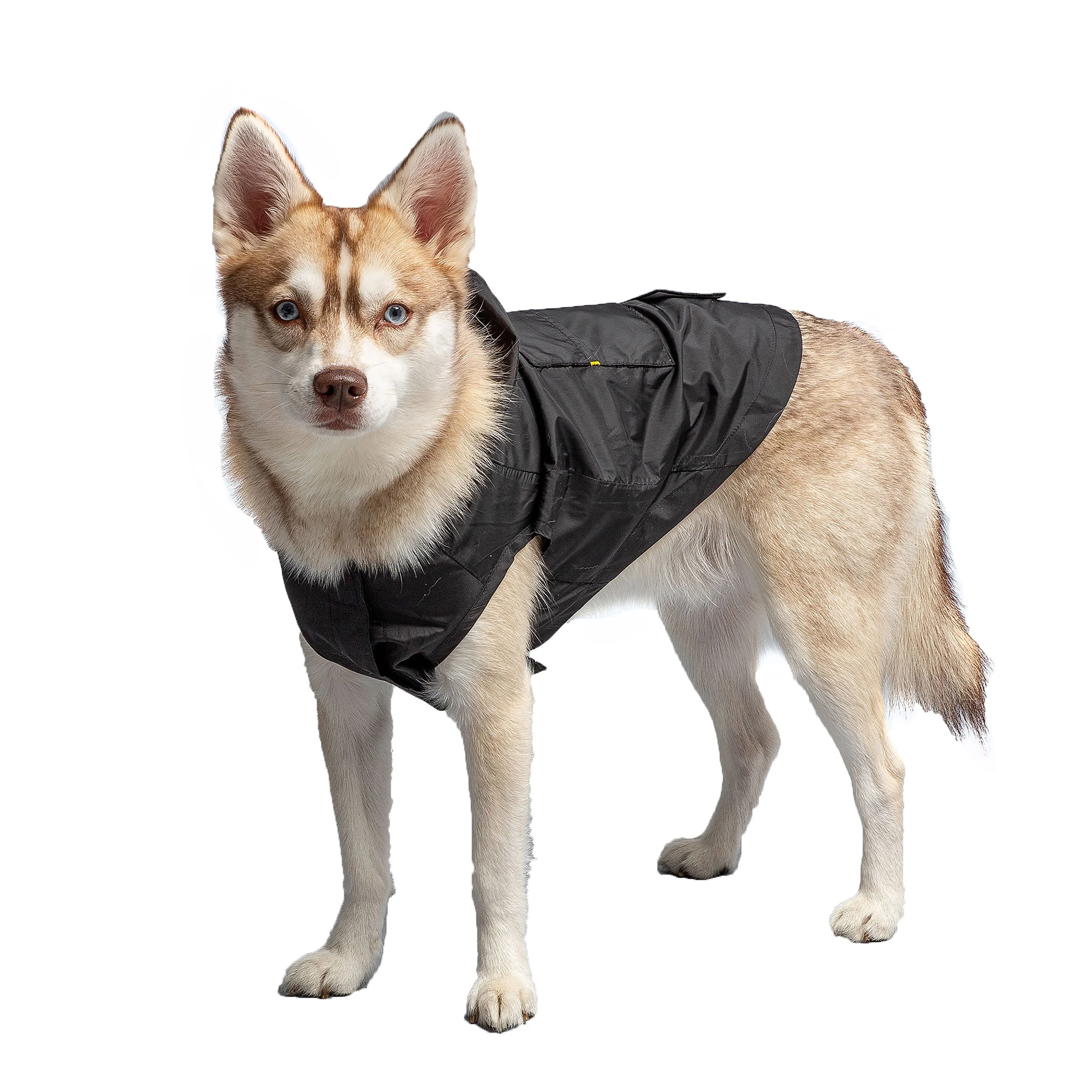 US Army Packable Dog Raincoat - Black - Image 2