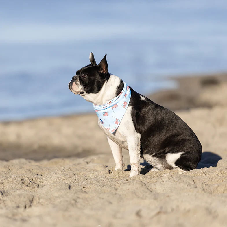 USA Dog Bandana - Image 3