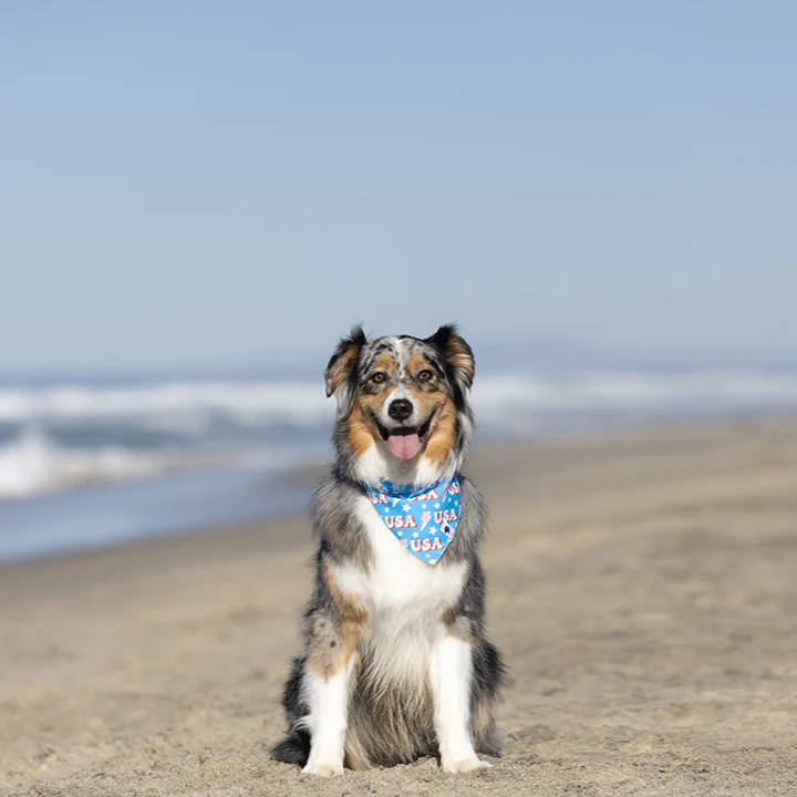 USA Dog Bandana - Image 6