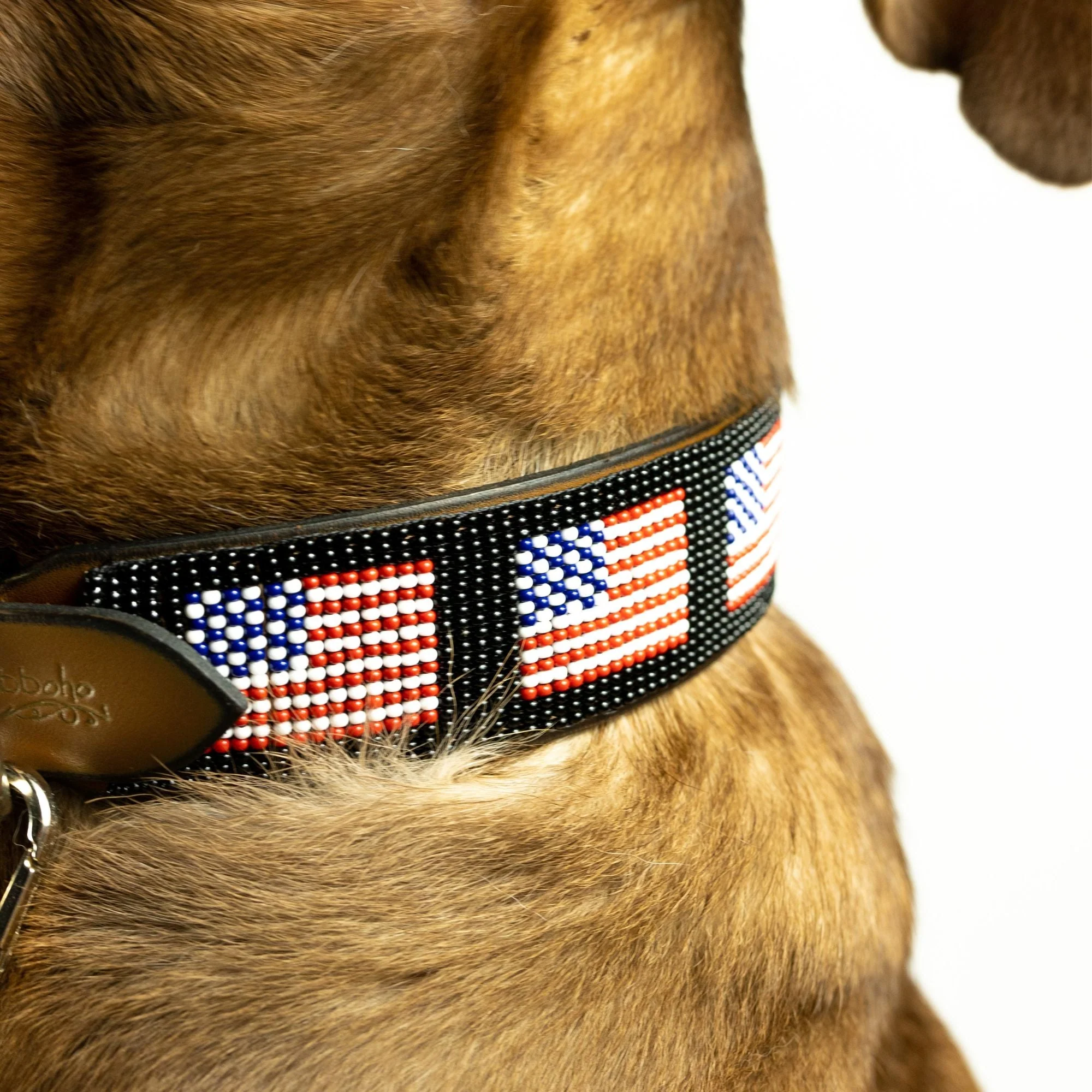USA Sambboho dog collar - Image 4