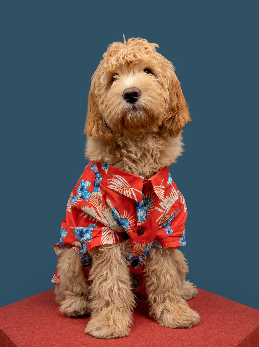 Vintage Vacay BBQ Shirt - Image 3