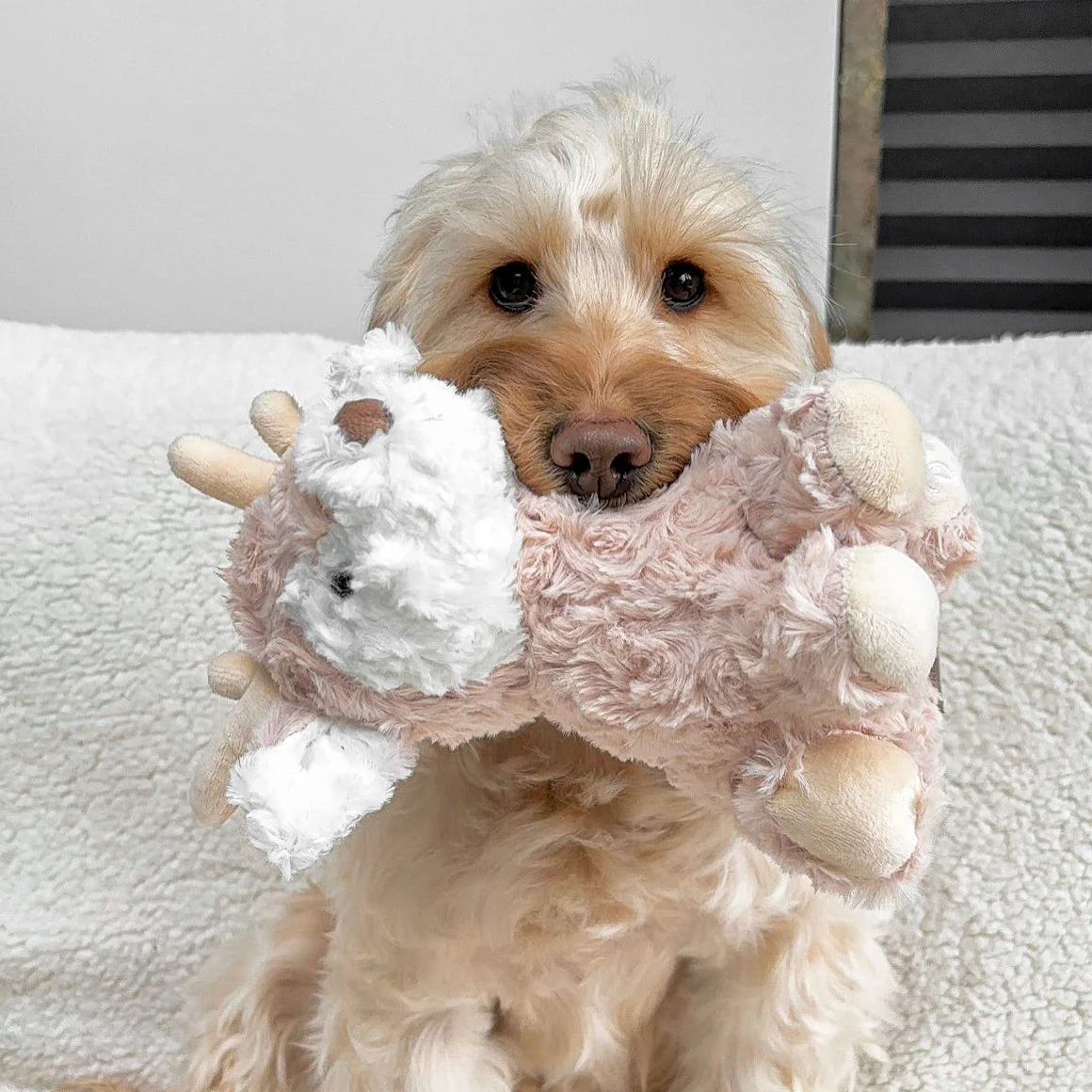 Vixi Maxi Plushie - Image 6