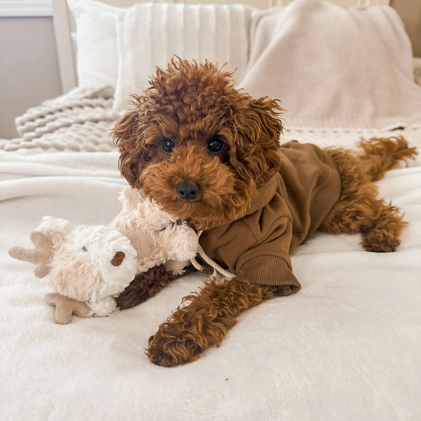 Vixi Plushie Set - Image 4