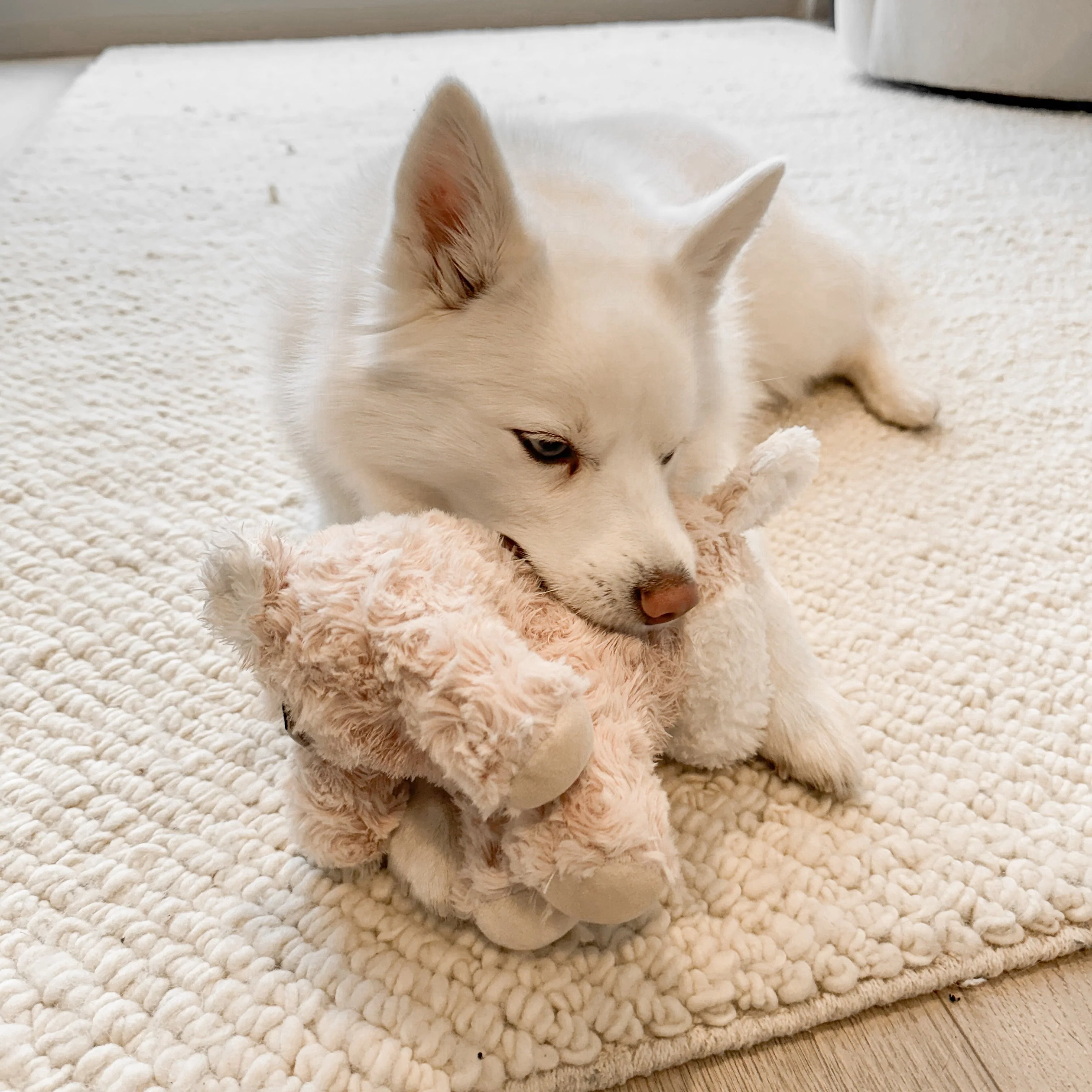 Vixi Plushie Set - Image 6