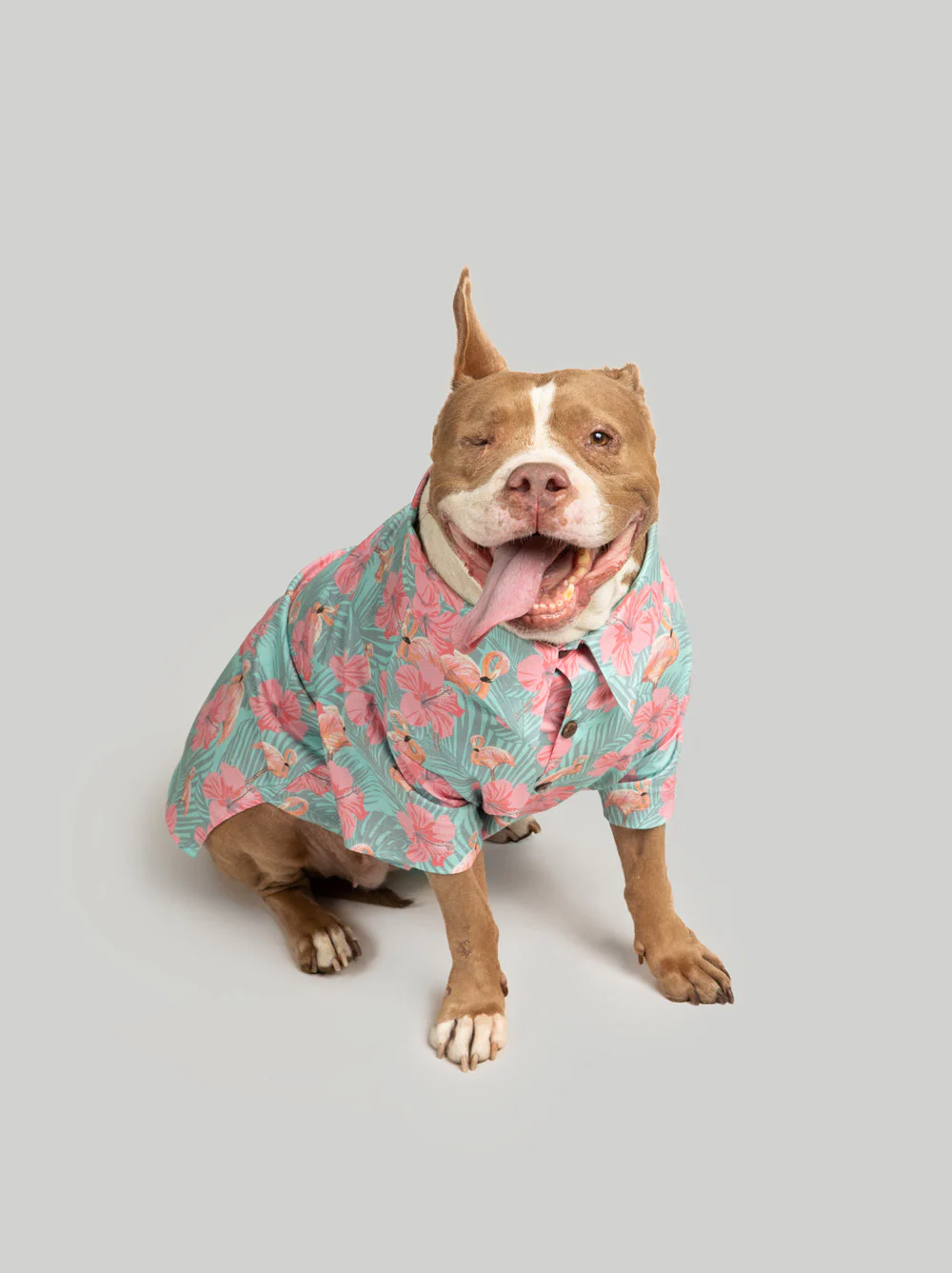 Washed Out BBQ Shirt - Image 7