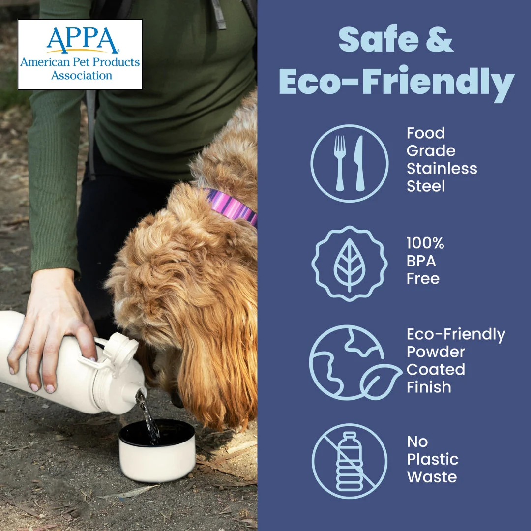 Dog + Human Water Bottle with Detachable Dog Bowl - Image 5