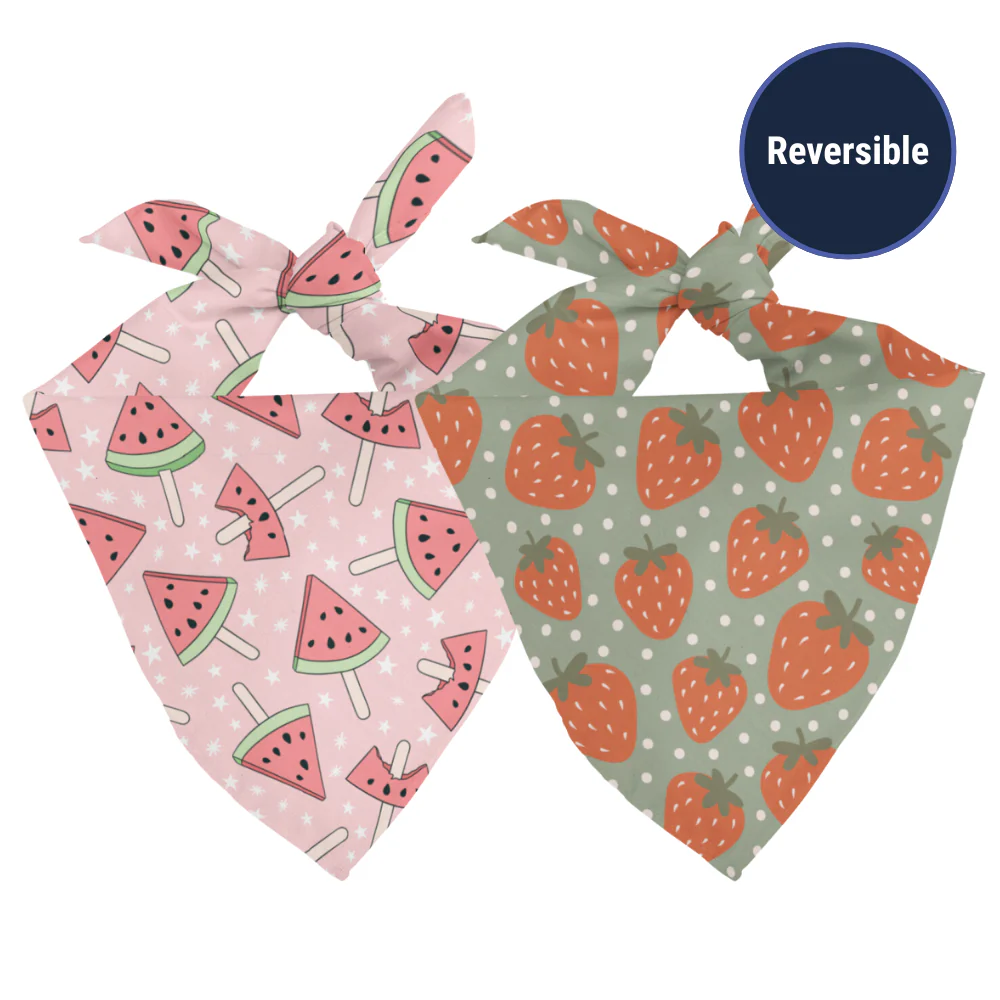 Watermelon & Strawberry Dog Bandana - Image 2
