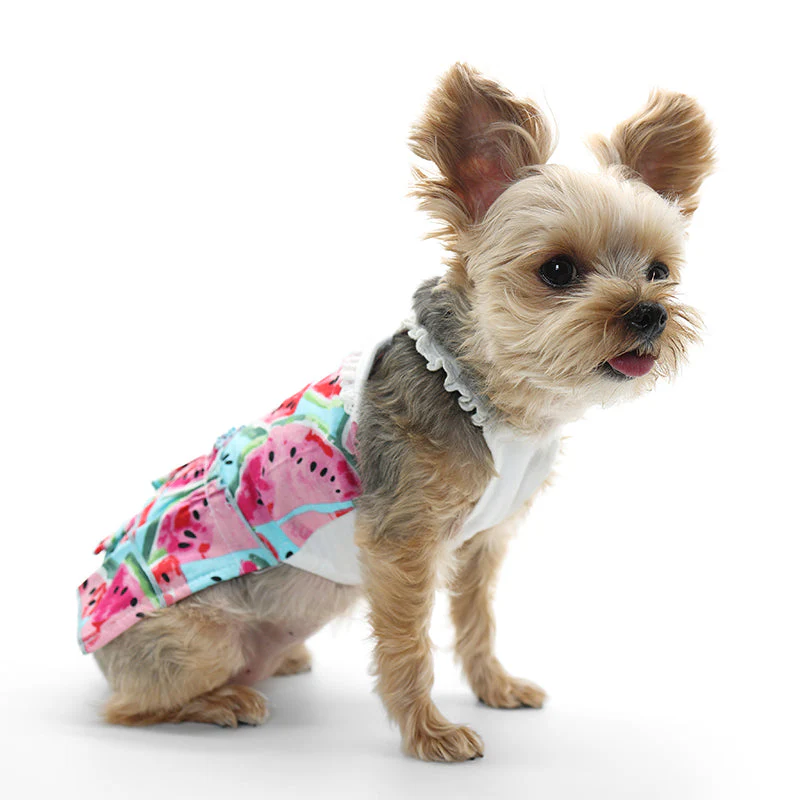 Watermelon Sundress - Image 4