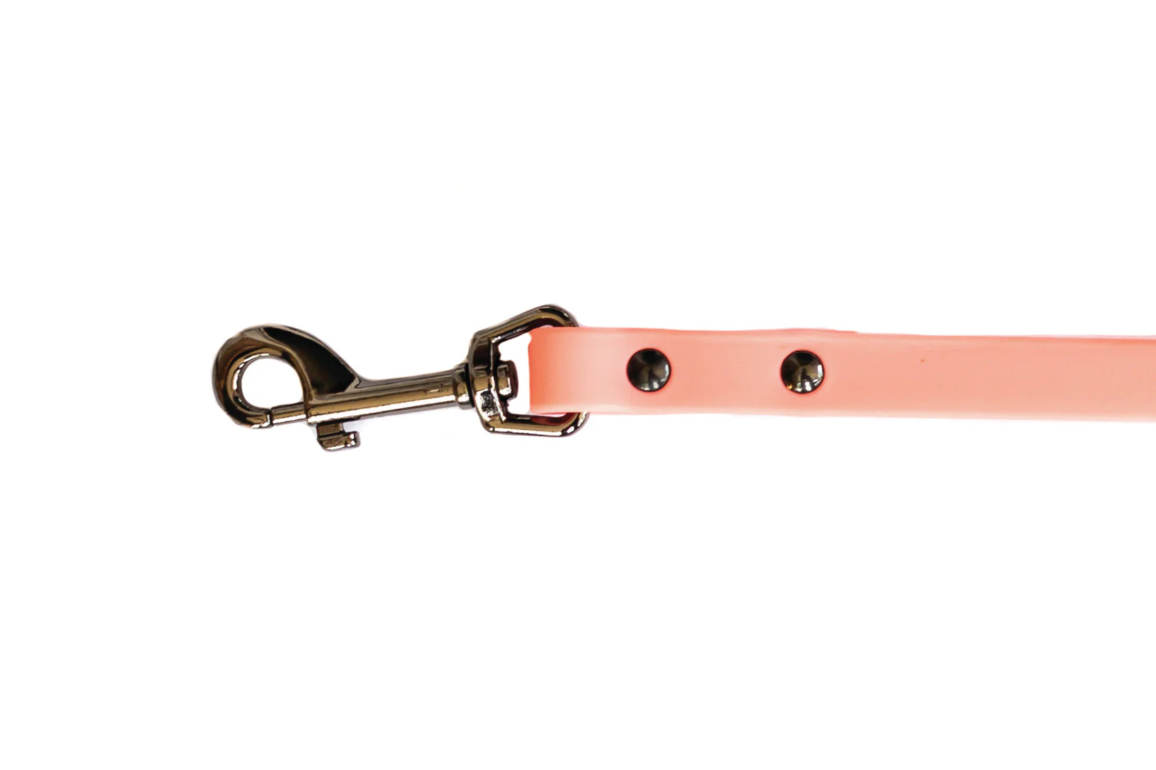 Waterproof Coral Reef Super Soft PVC Dog Leash - Image 2