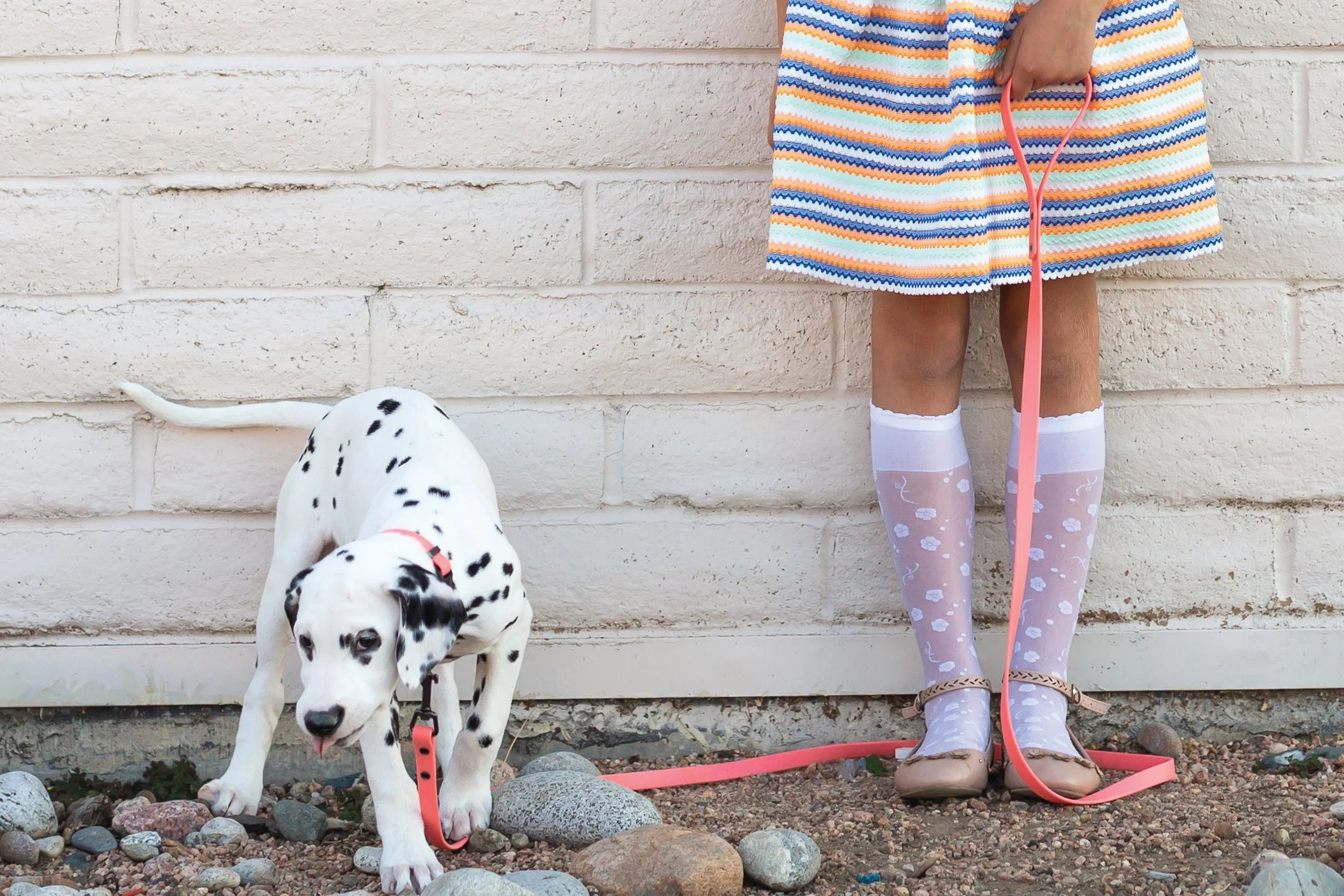 Waterproof Coral Reef Super Soft PVC Dog Leash - Image 3