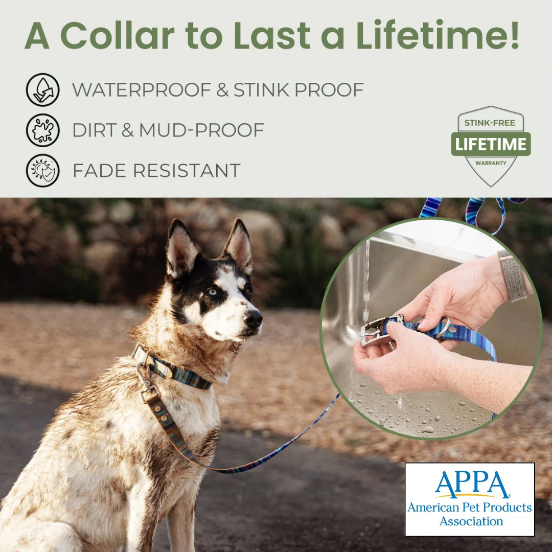 Waterproof Dog Collars – Washable Dog Collar, Stink-Proof & Durable - Image 3