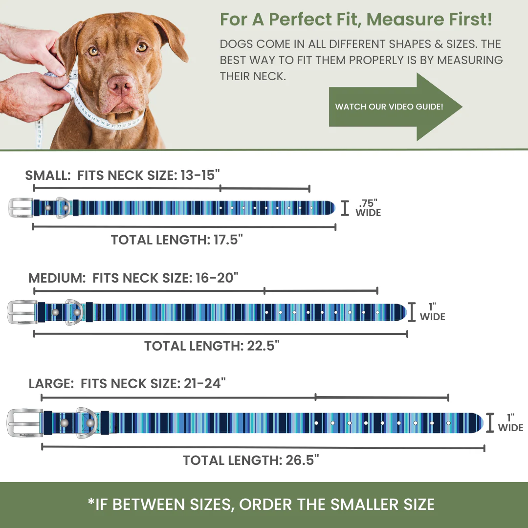 Waterproof Dog Collars – Washable Dog Collar, Stink-Proof & Durable - Image 4
