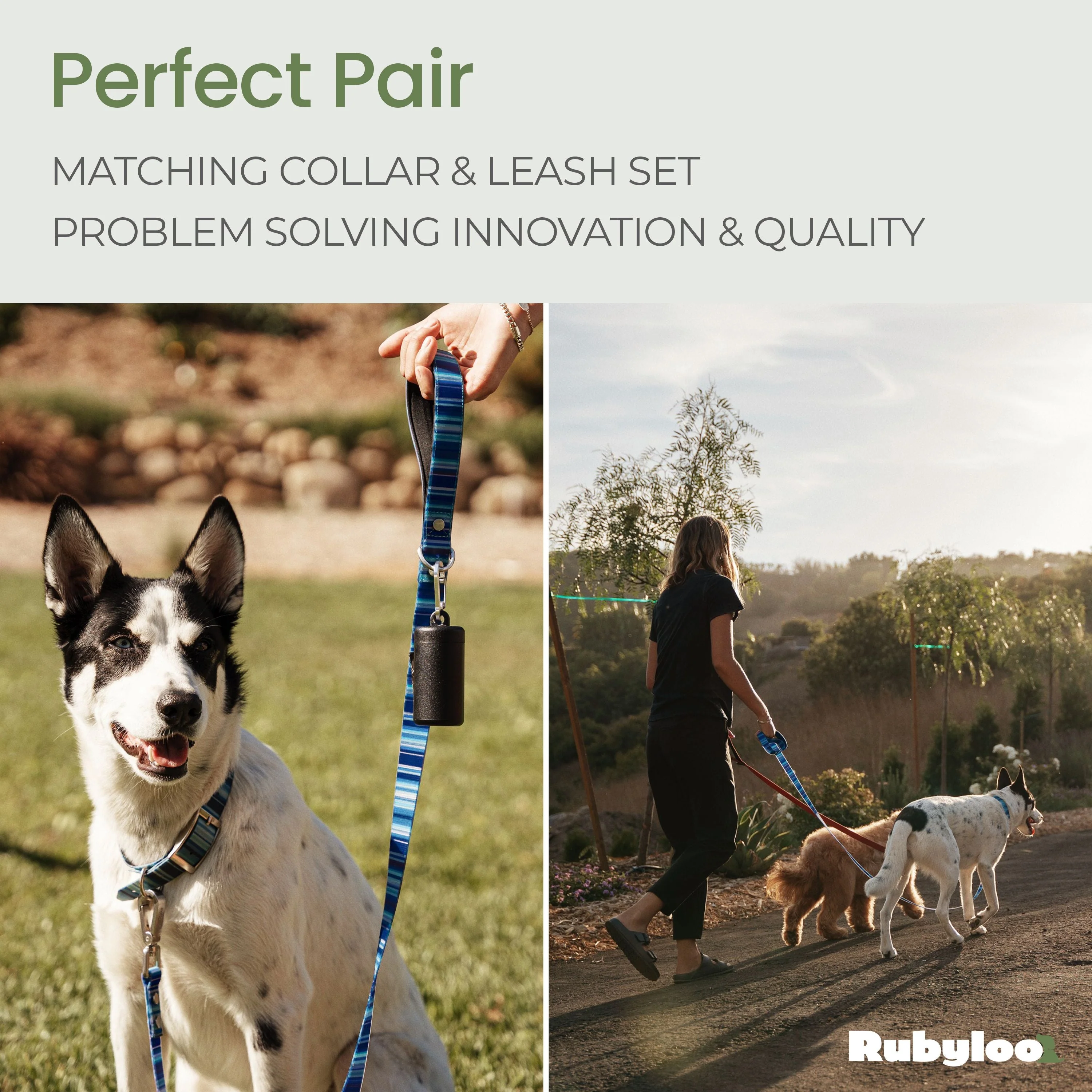 Waterproof Dog Collars – Washable Dog Collar, Stink-Proof & Durable - Image 7