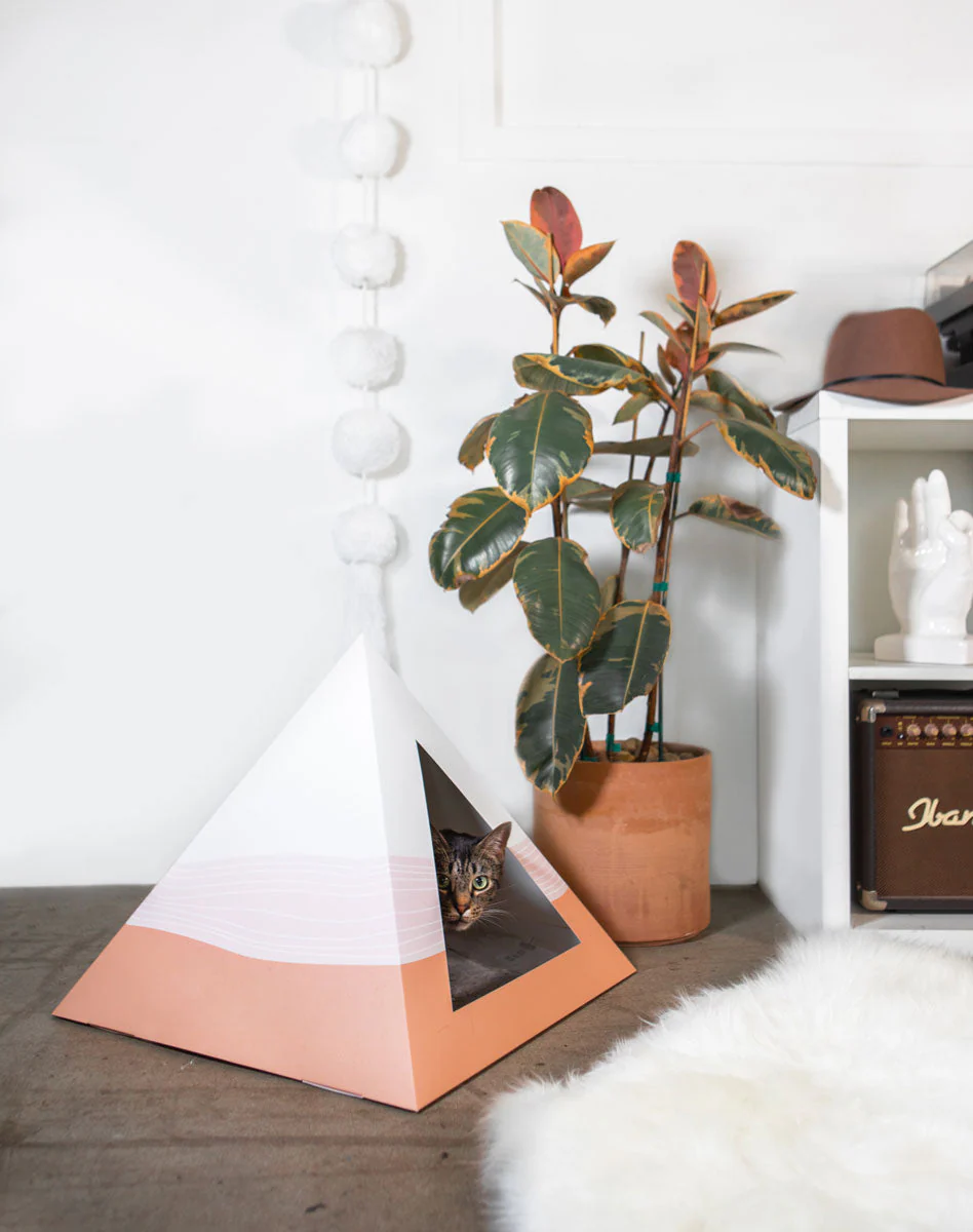 'Wavey' Cardboard Cat Pyramid - Image 3
