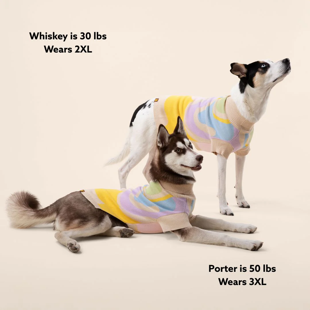 Wavy Knitted Dog Sweater - Image 6