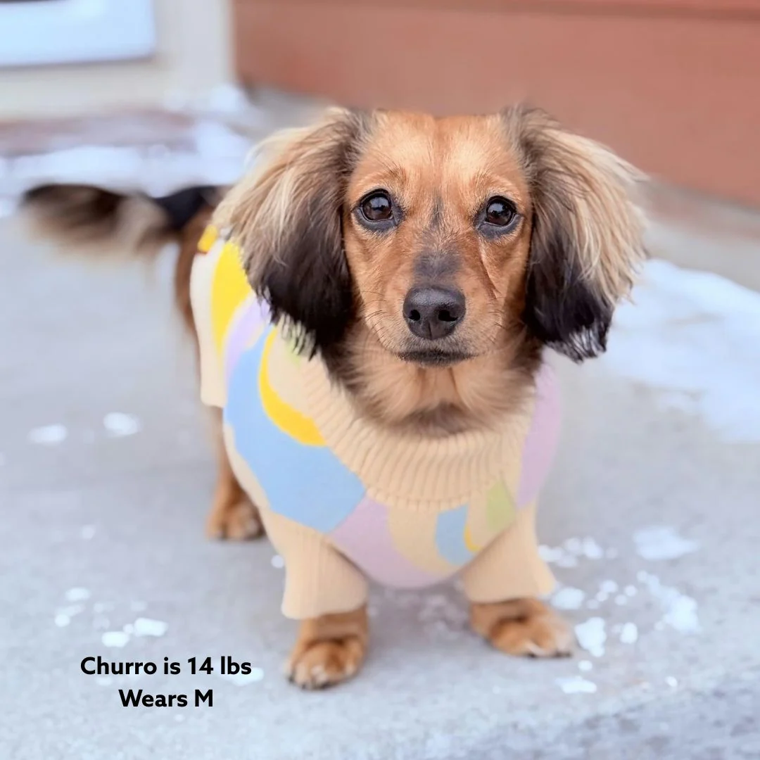 Wavy Knitted Dog Sweater - Image 7