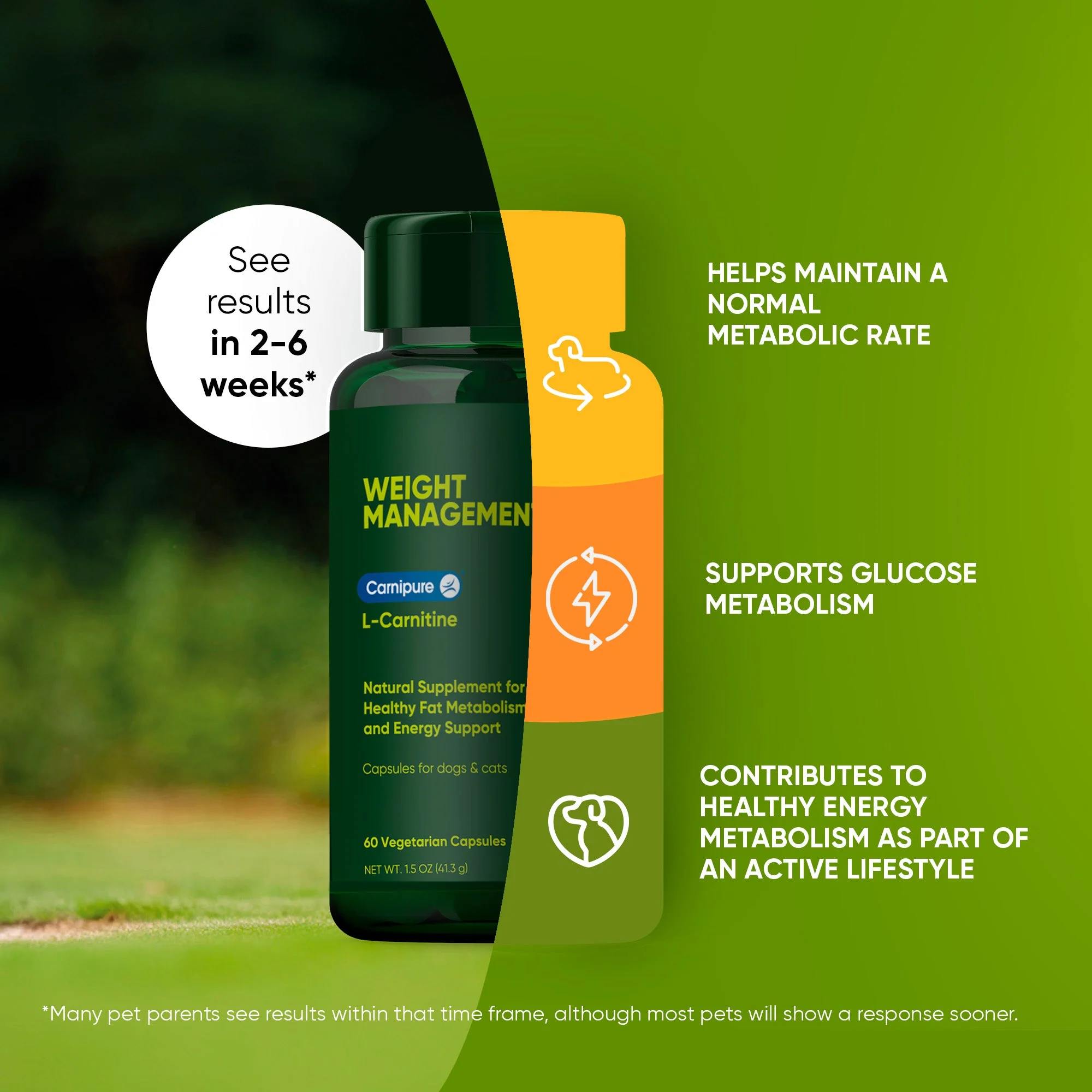 Weight Management - Image 10